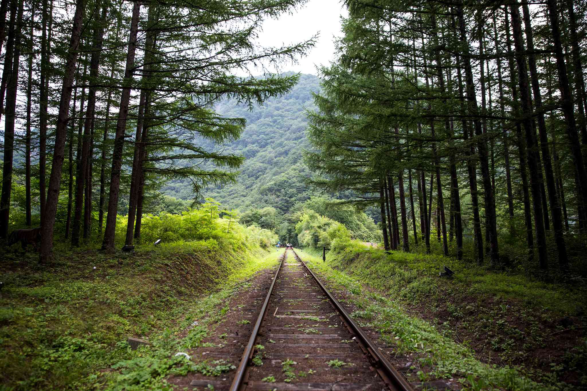 Blick auf die Landschaft von Busan - private Tagesreise von Jeongseon - Foto 7