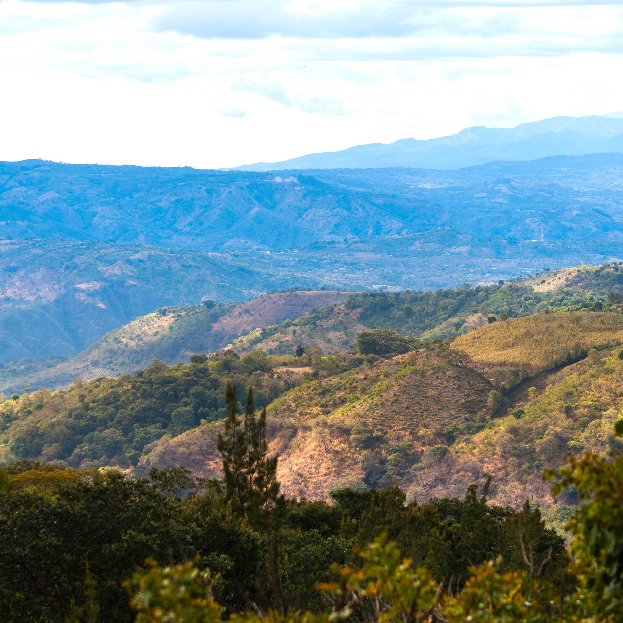 Jutiapa