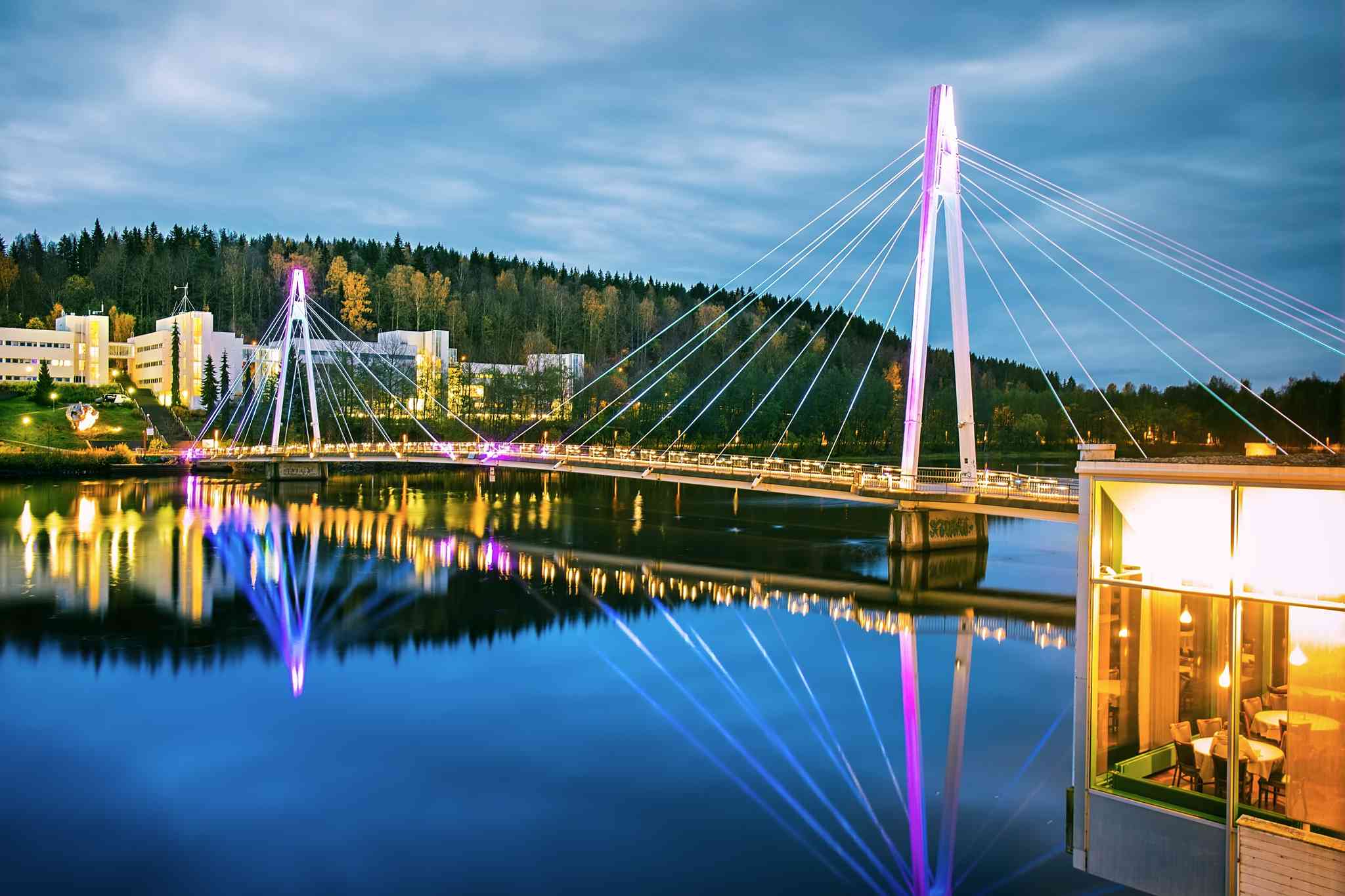 Blick auf die Landschaft von Jyvaskyla - private Tagesreise von Helsinki - Foto 3