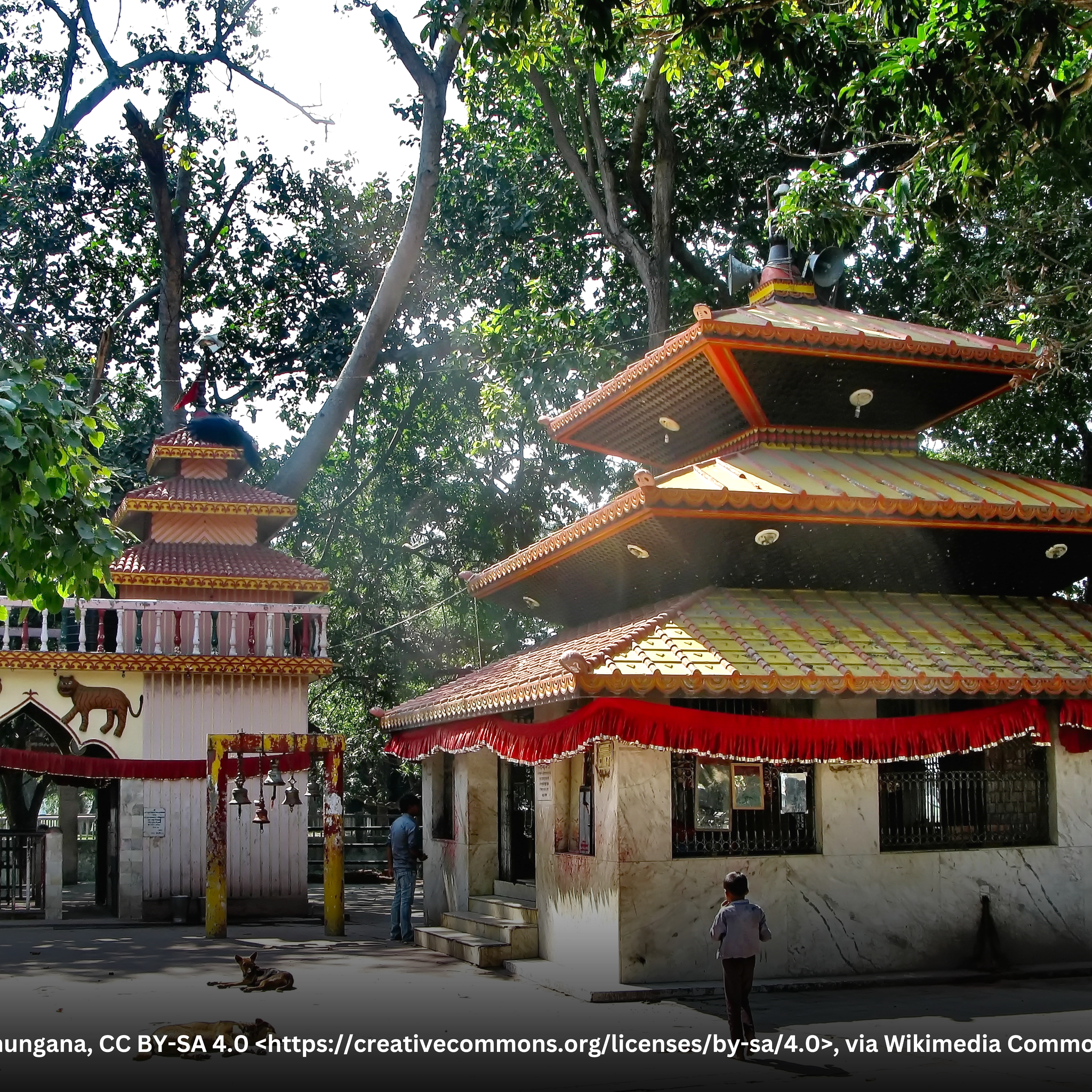 Kalaiya