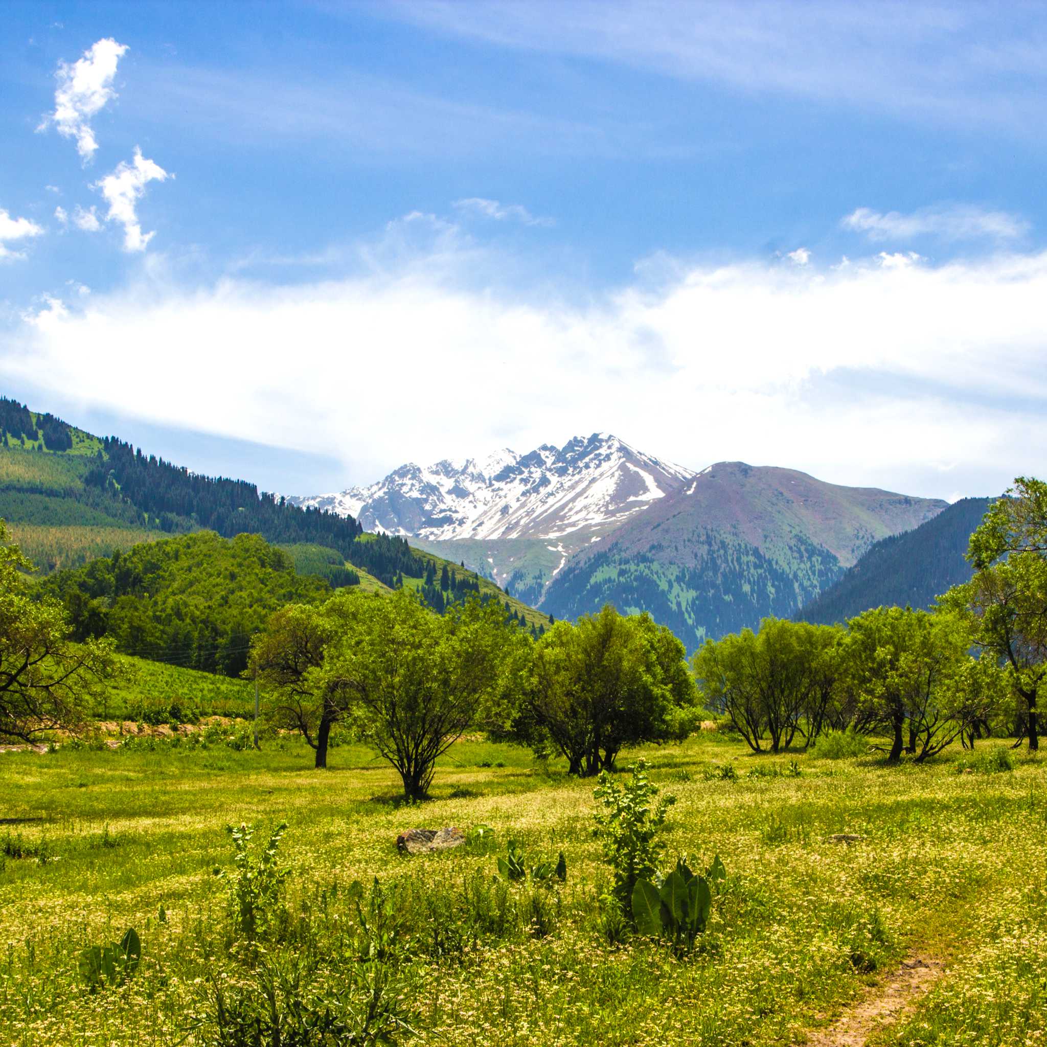 Private car transfers in Kazakhstan from Kaskelen