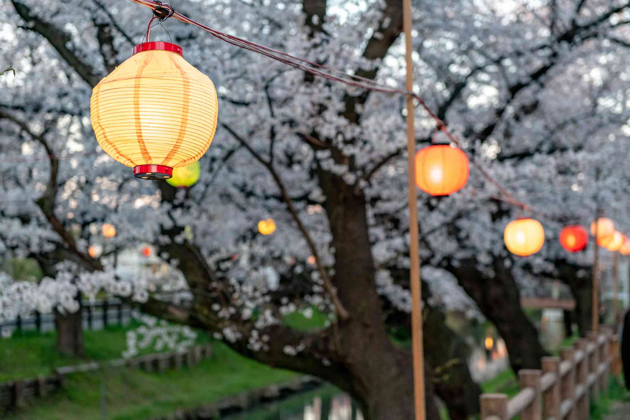 Scenic view of Tokyo - private day trip from Tokyo - photo 4