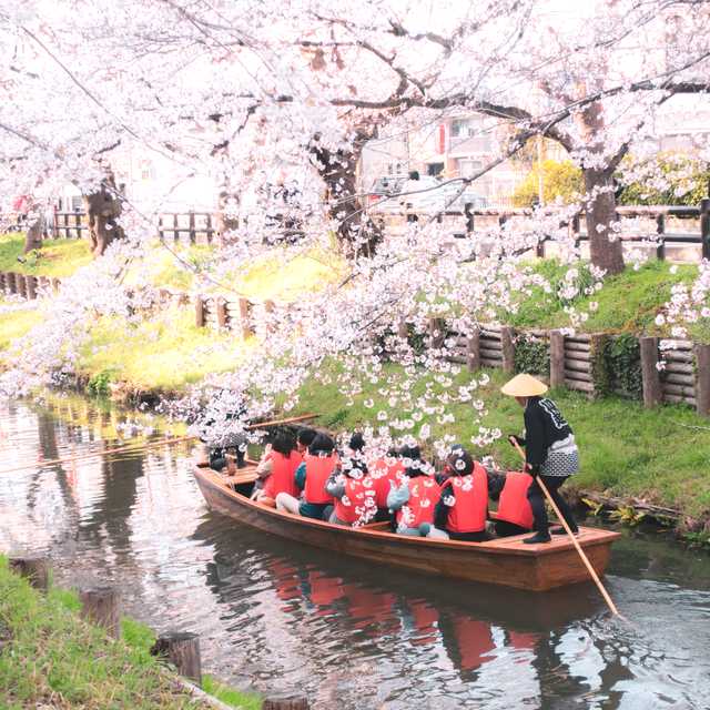 Tokyo to Nikko and Kawagoe Shingashi River: Private day trip