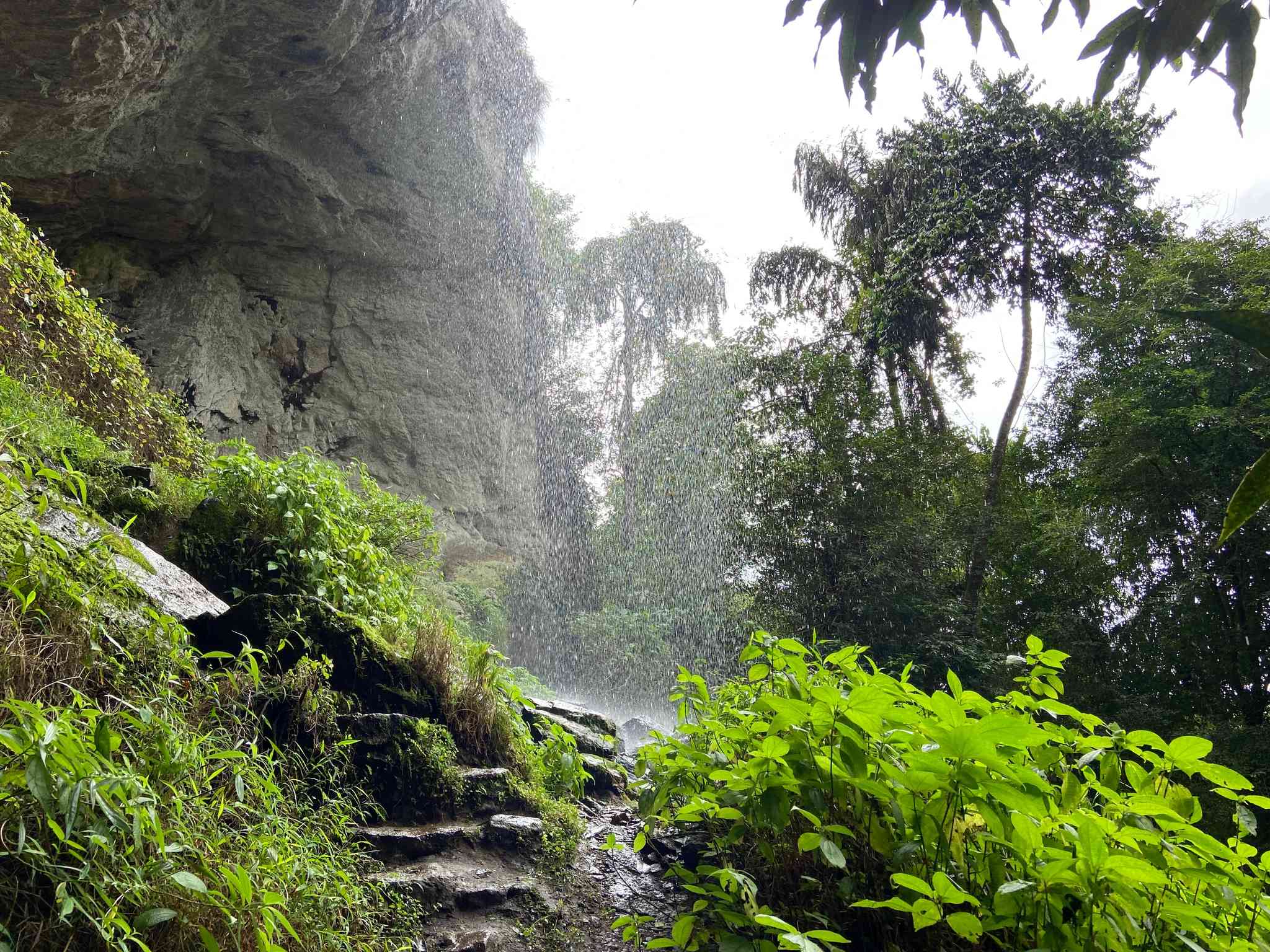 Blick auf die Landschaft von Kitulgala - private Tagesreise von Kandy - Foto 2