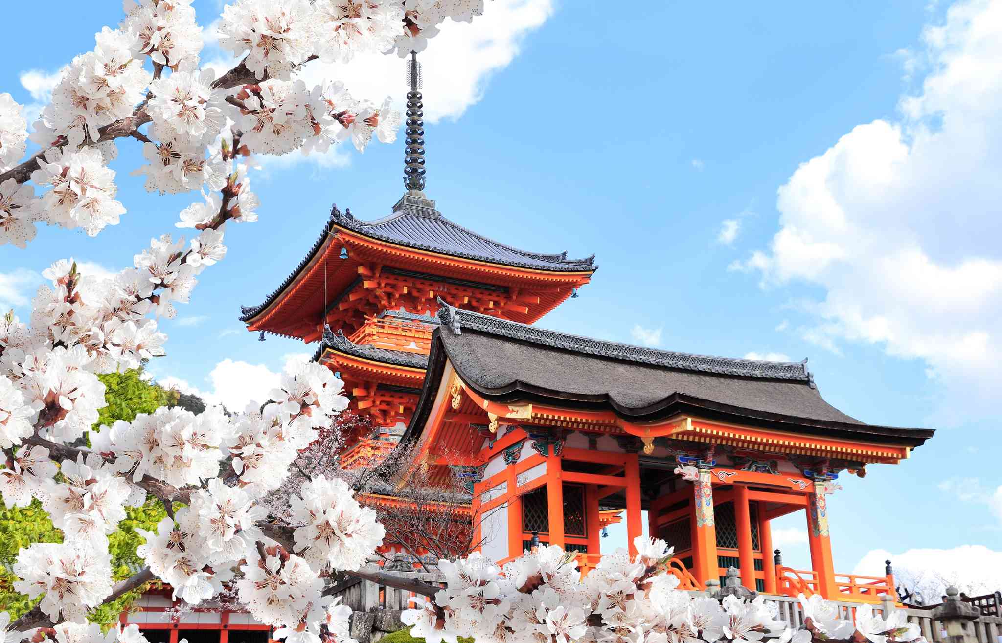 Vista panorámica de Osaka - excursión privada de un día desde Osaka - foto 2