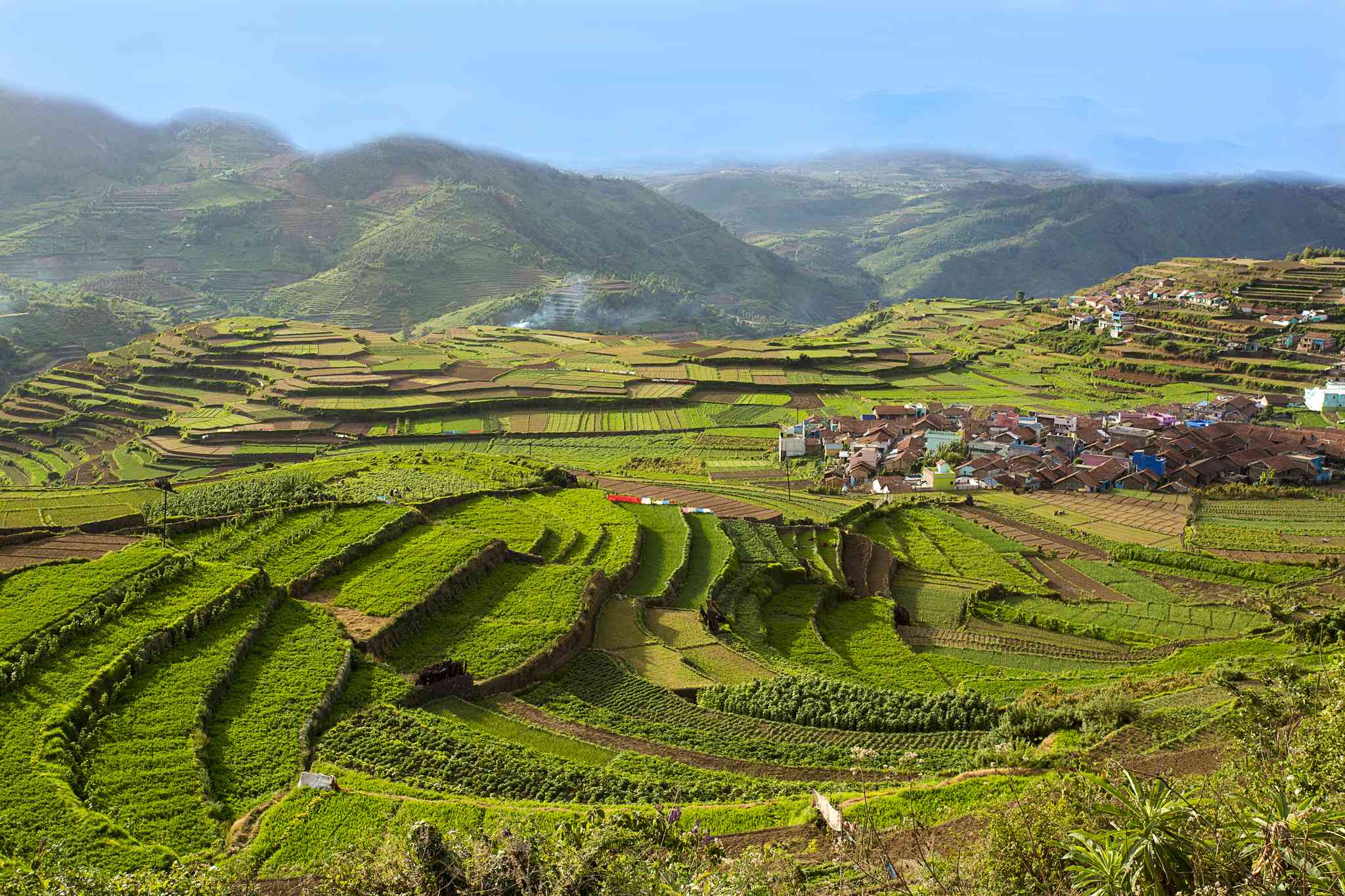 Scenic view of Kochi - private day trip from Kodaikanal - photo 5