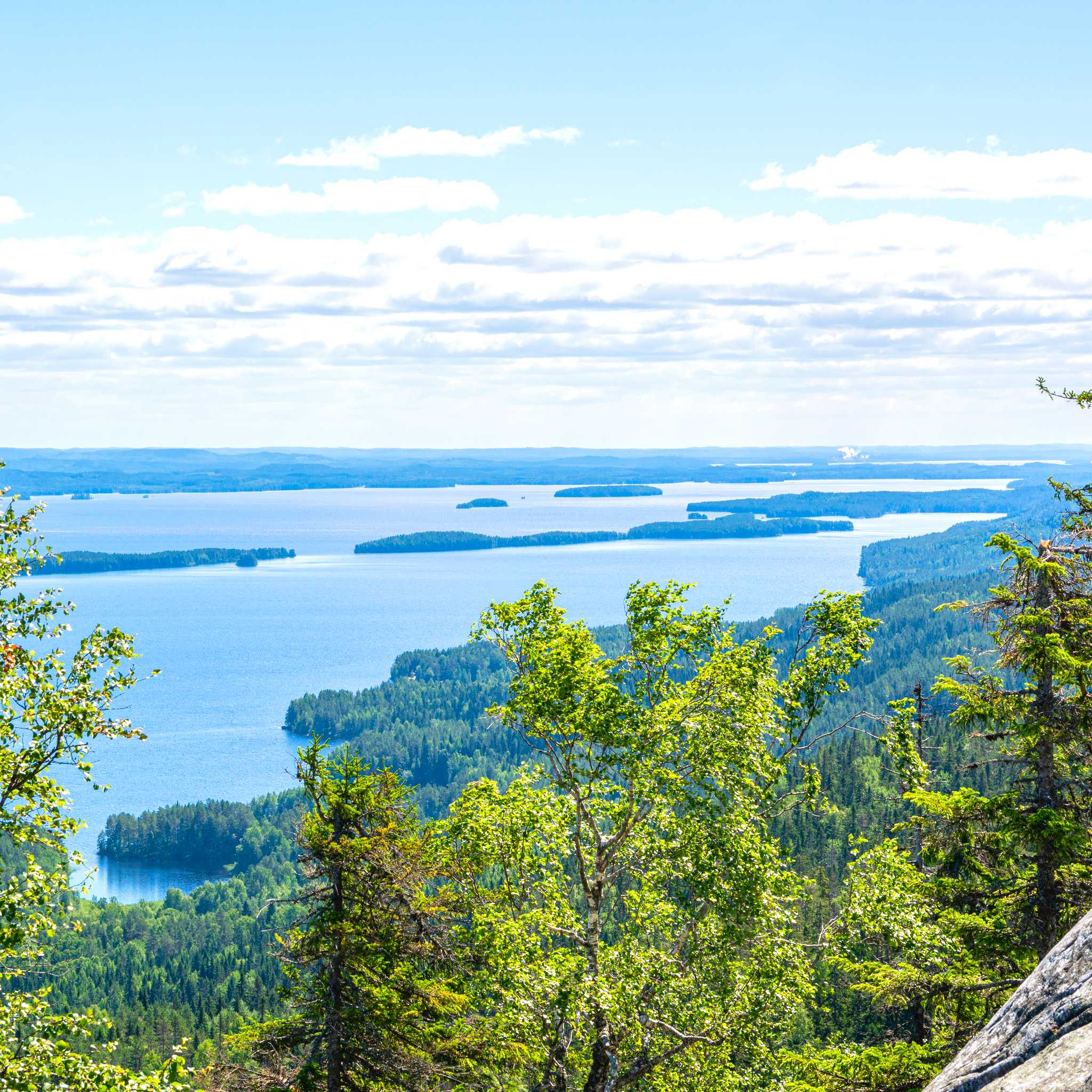 Koli National Park