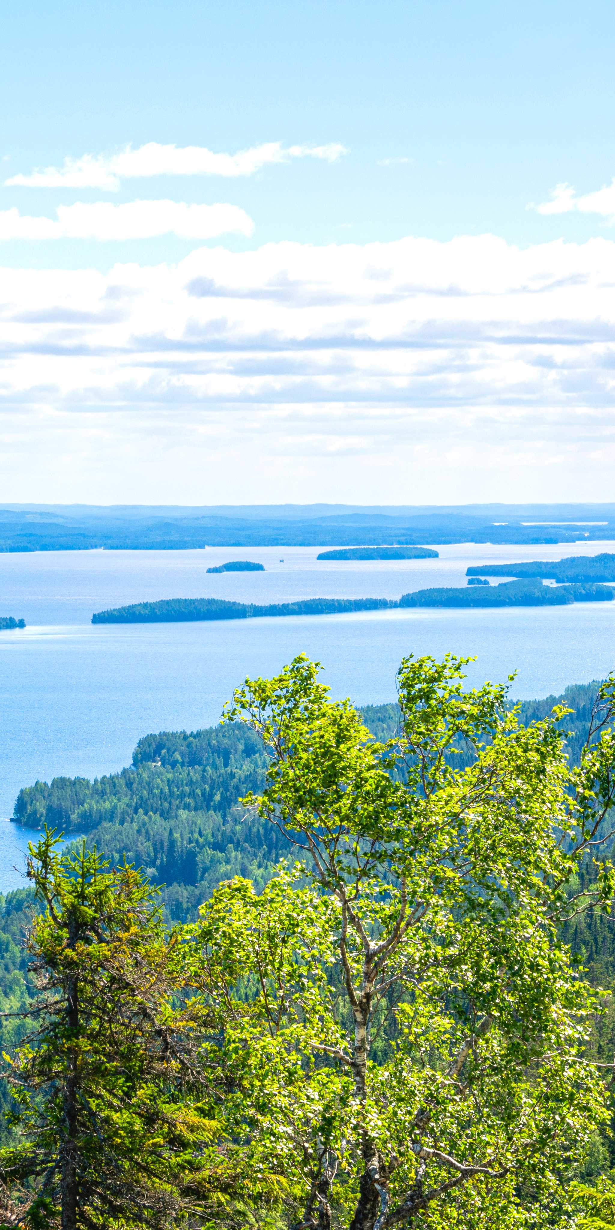 Koli National Park
