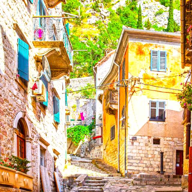 Dubrovnik to Kotor and Perast: Private day trip