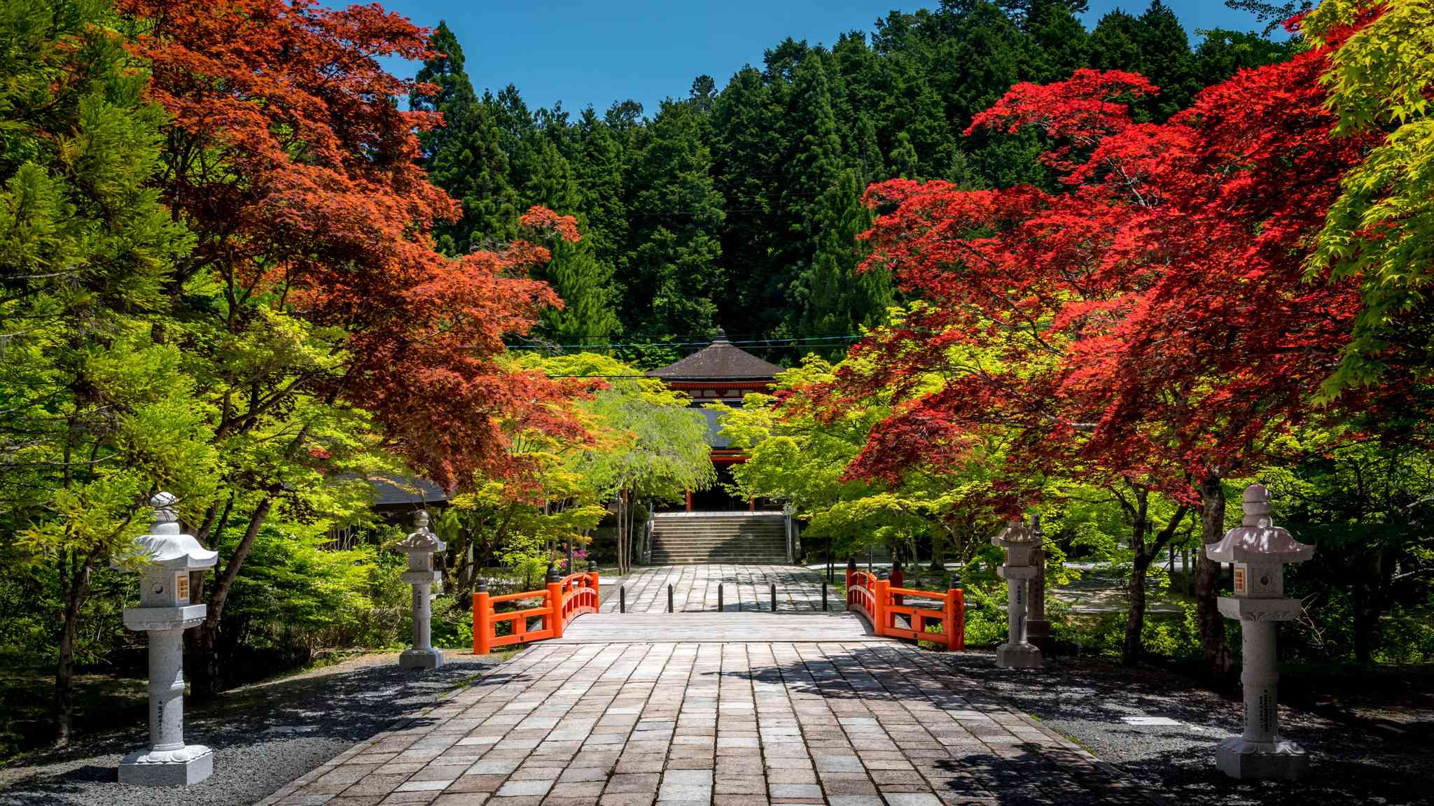 Scenic view of Koya - private day trip from Kobe - photo 3