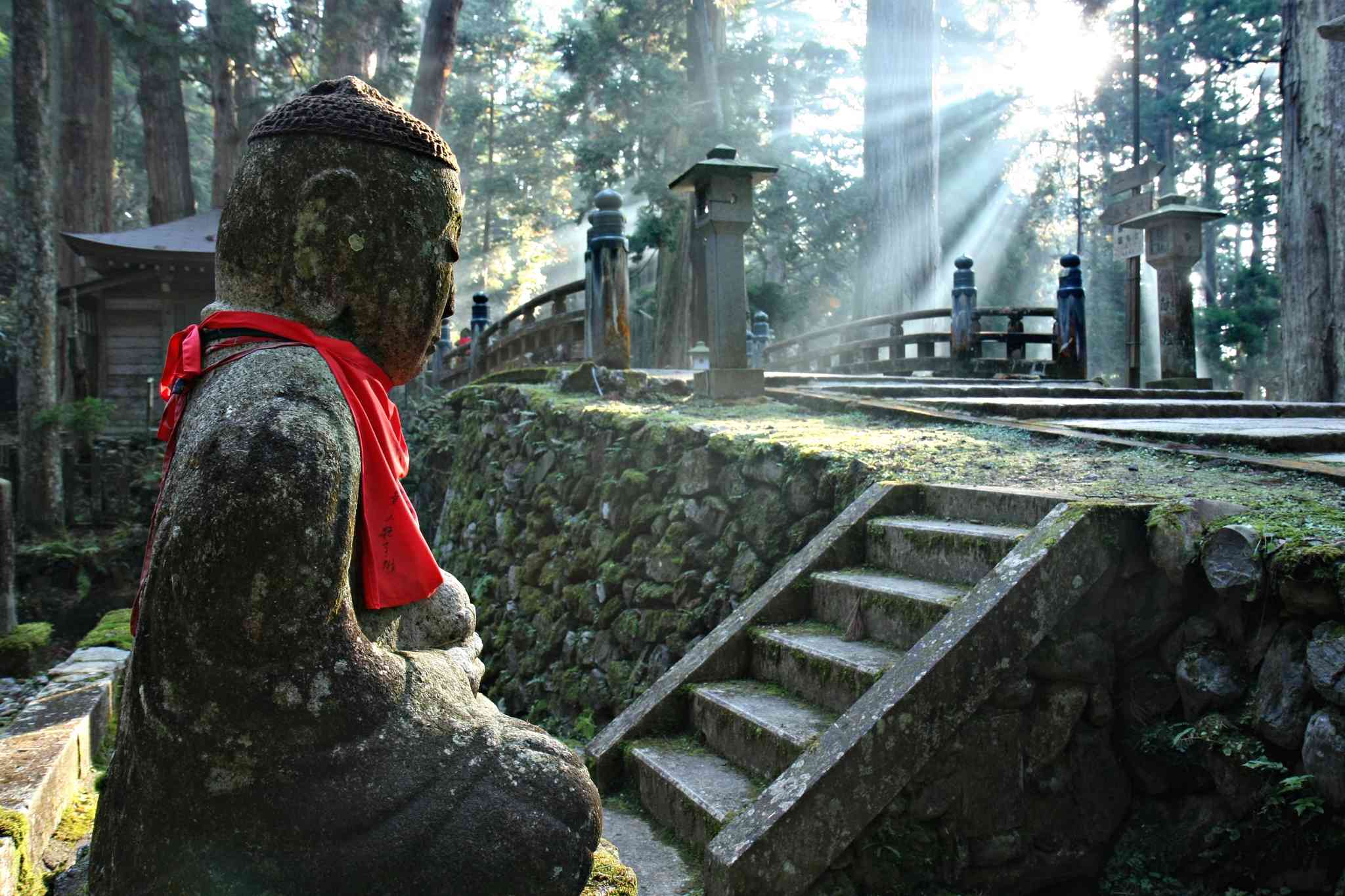 Scenic view of Koya - private day trip from Kobe - photo 2