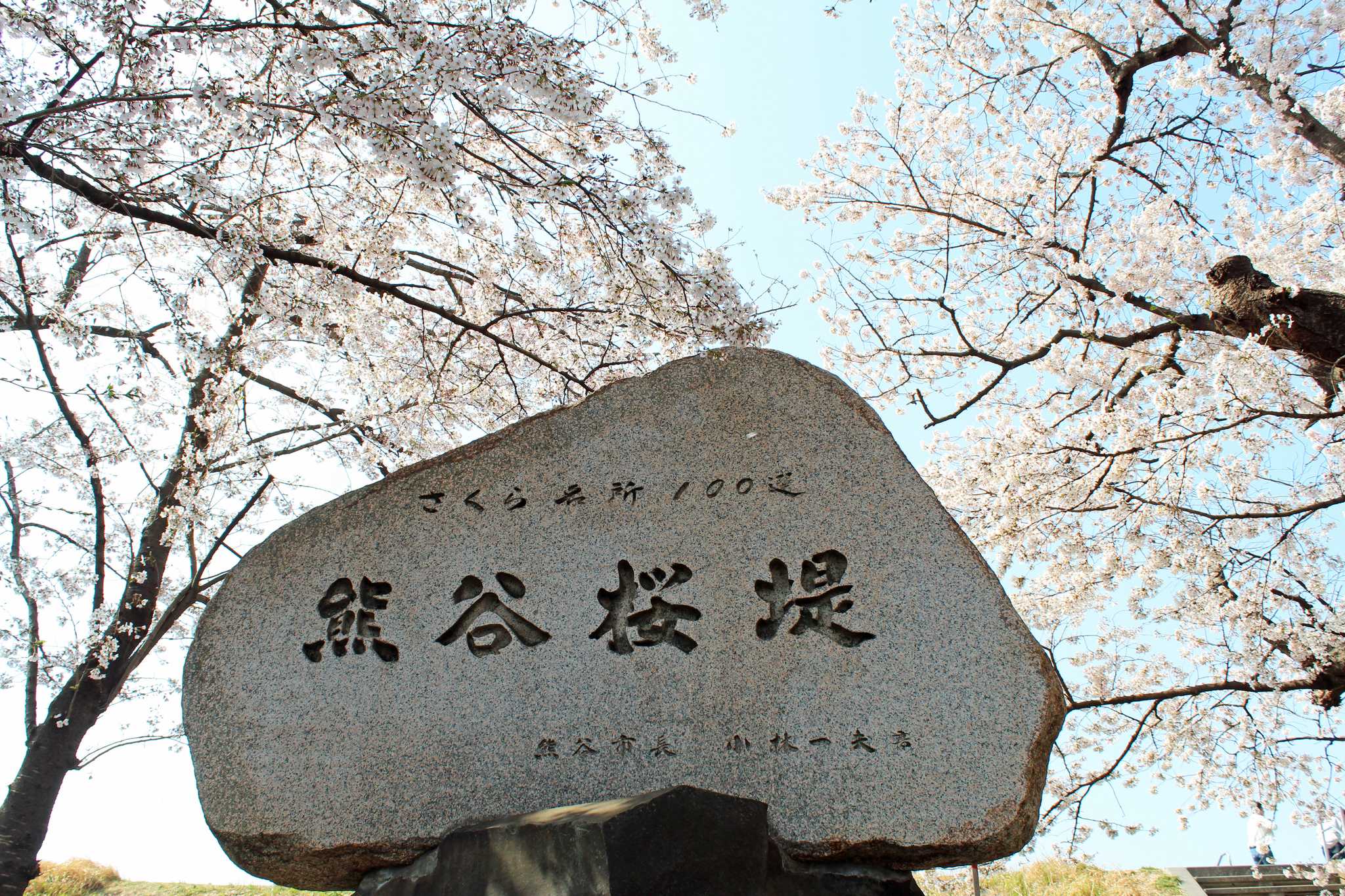 Kumagaya Sakura Tsutsumi