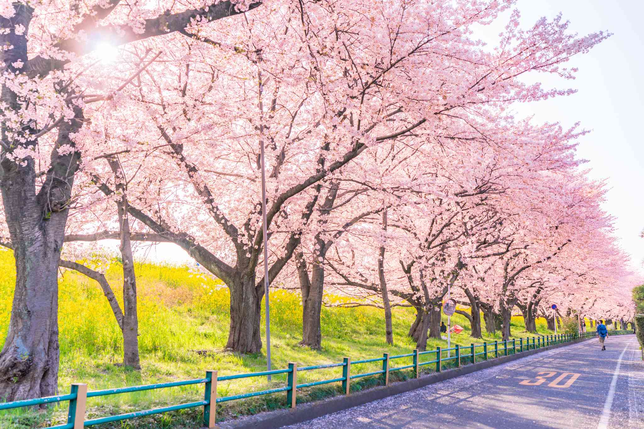 Scenic view of Tokyo - private day trip from Tokyo - photo 4