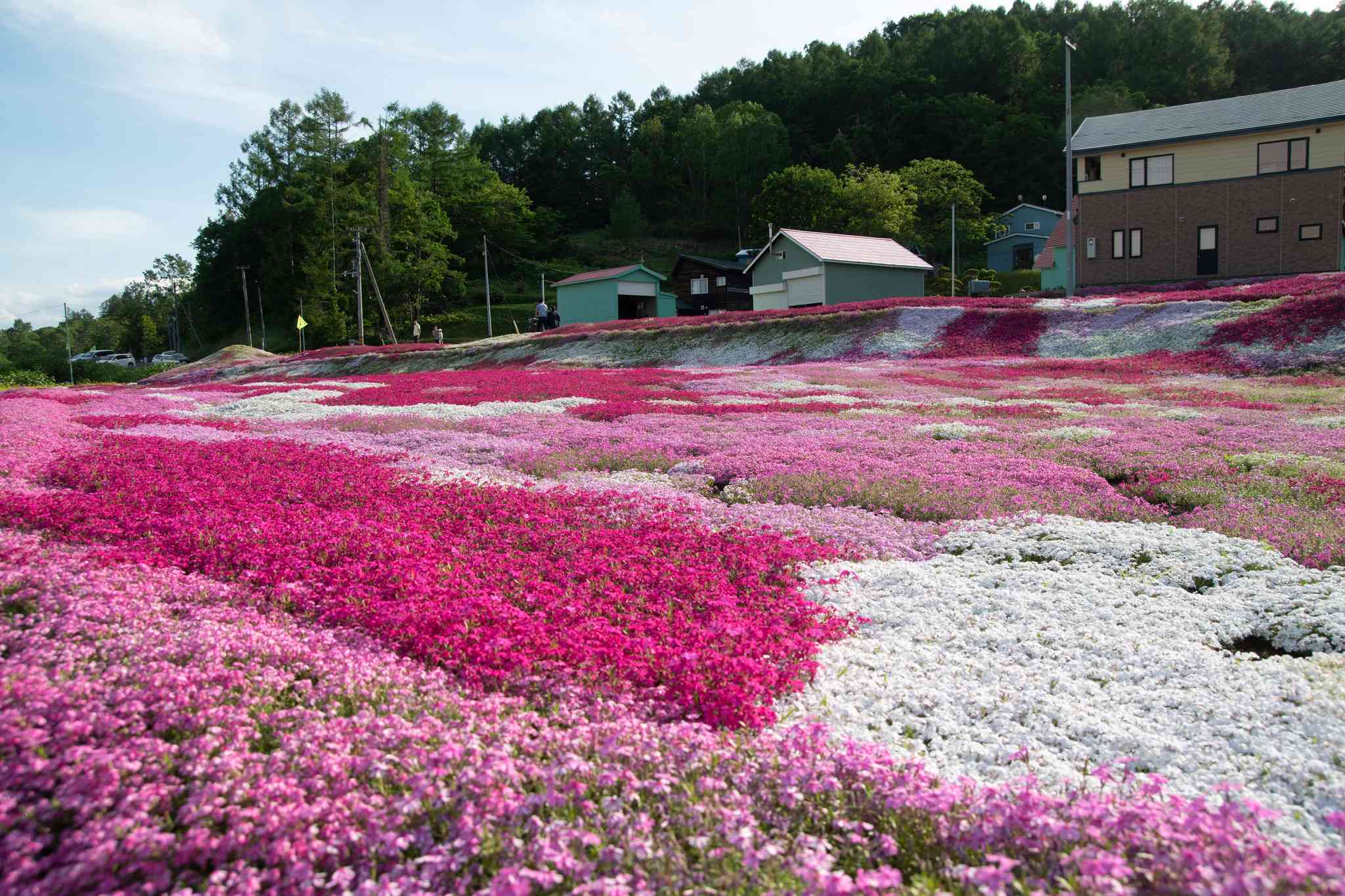 Scenic view of Kutchan - private day trip from Sapporo - photo 2
