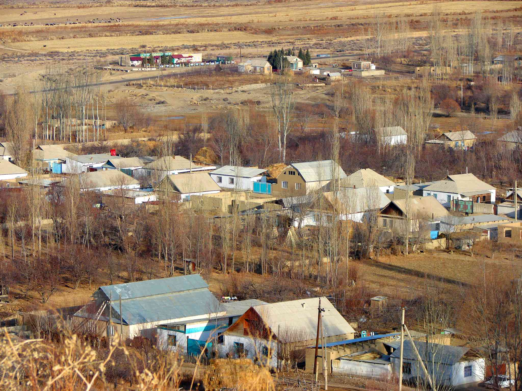 Scenic view of Kyzyl Tuu - private day trip from Manas International Airport - photo 2