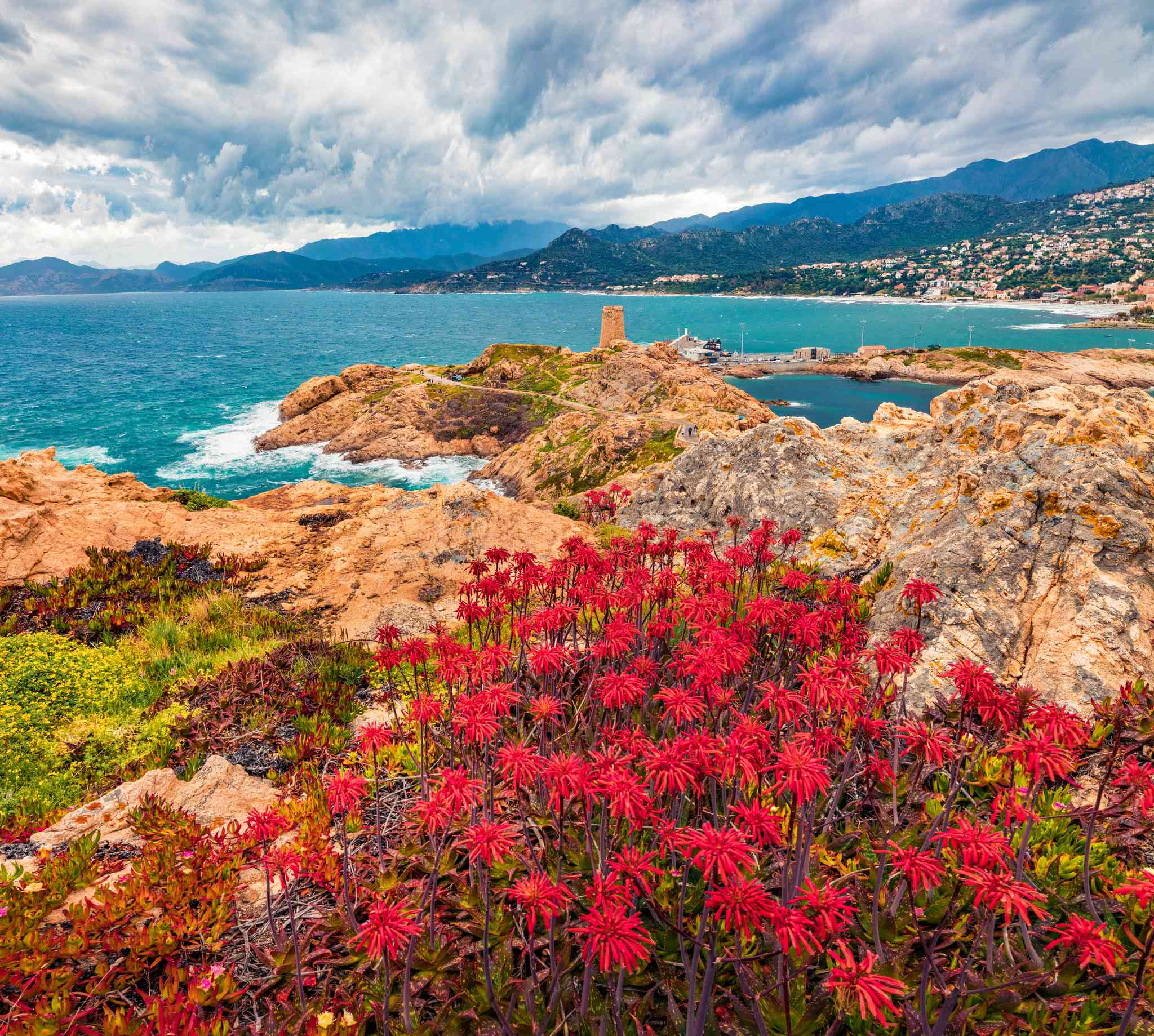 Scenic view of Ajaccio - private day trip from L'Ile-Rousse - photo 7