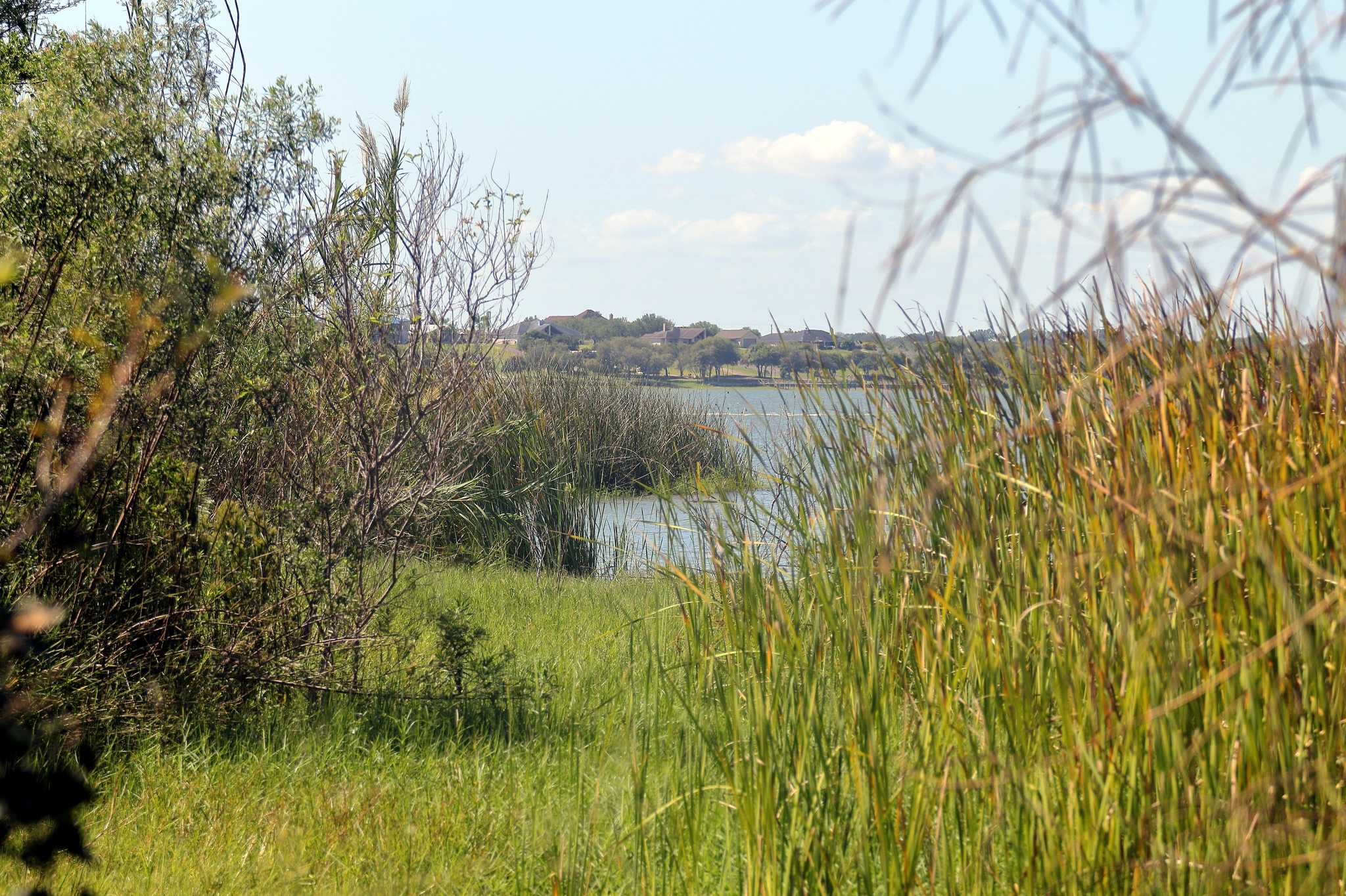 在 从 san-antonio-texas-us 到 corpus-christi-us 的途中，参观 Lake Corpus Christi State Park ，通过 Daytrip