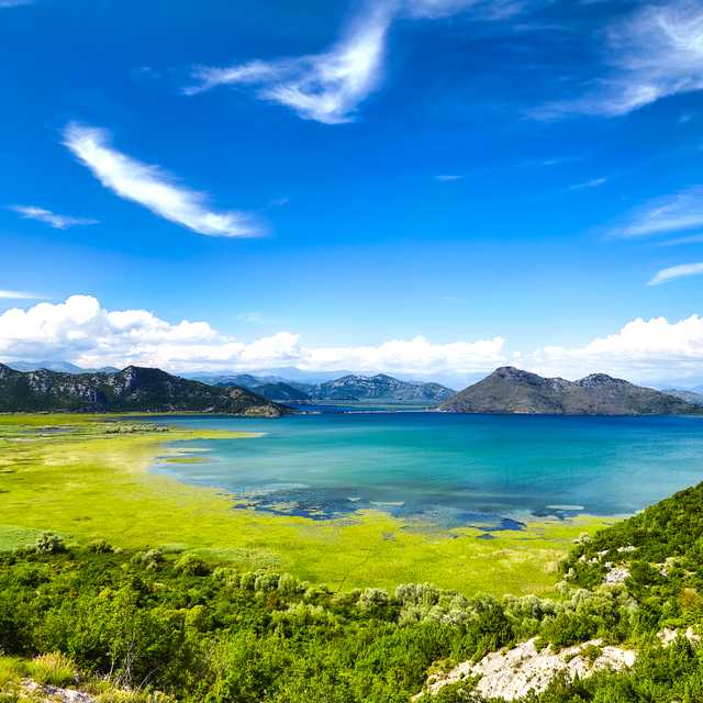 Dubrovnik to Lake Skadar: Private day trip
