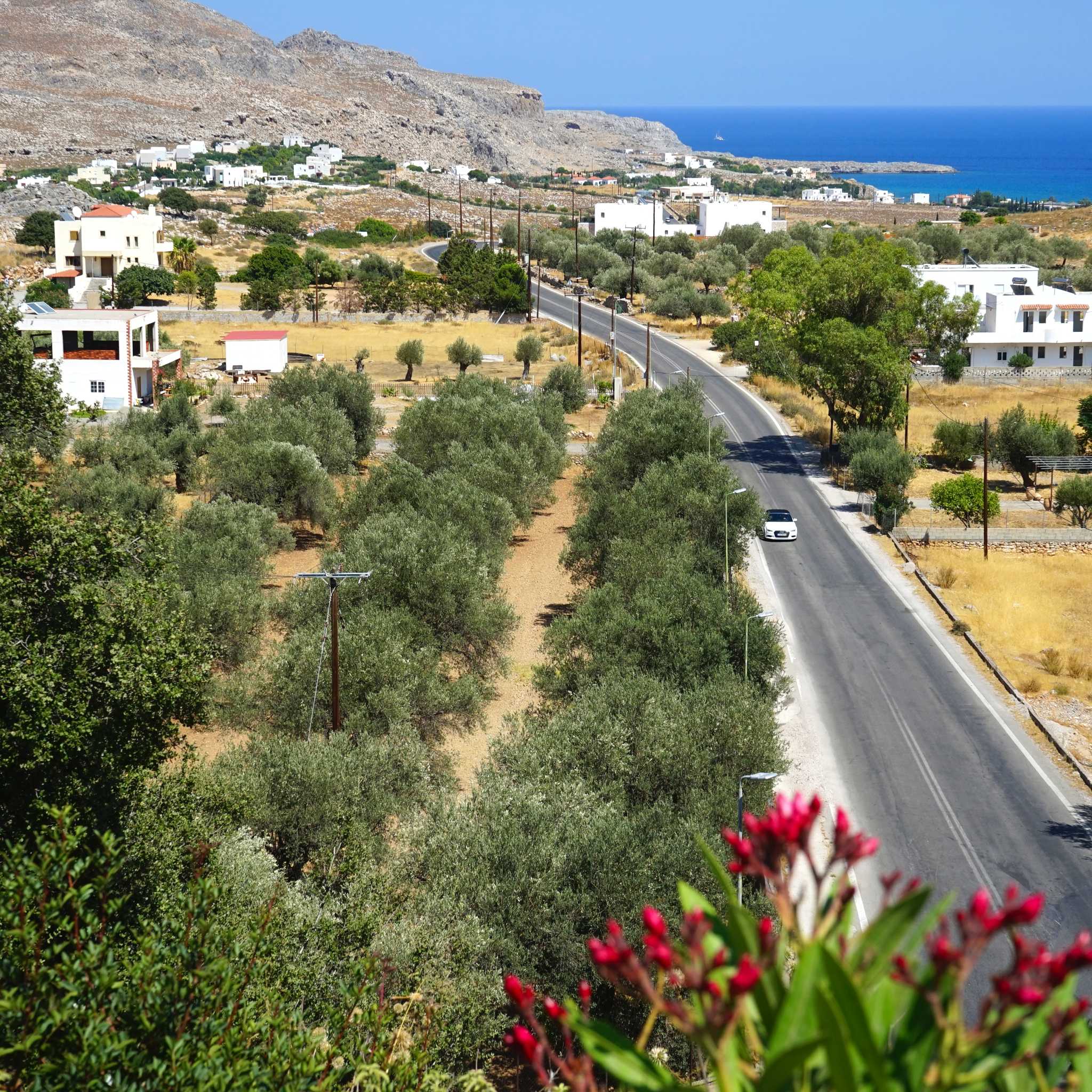 Lakki