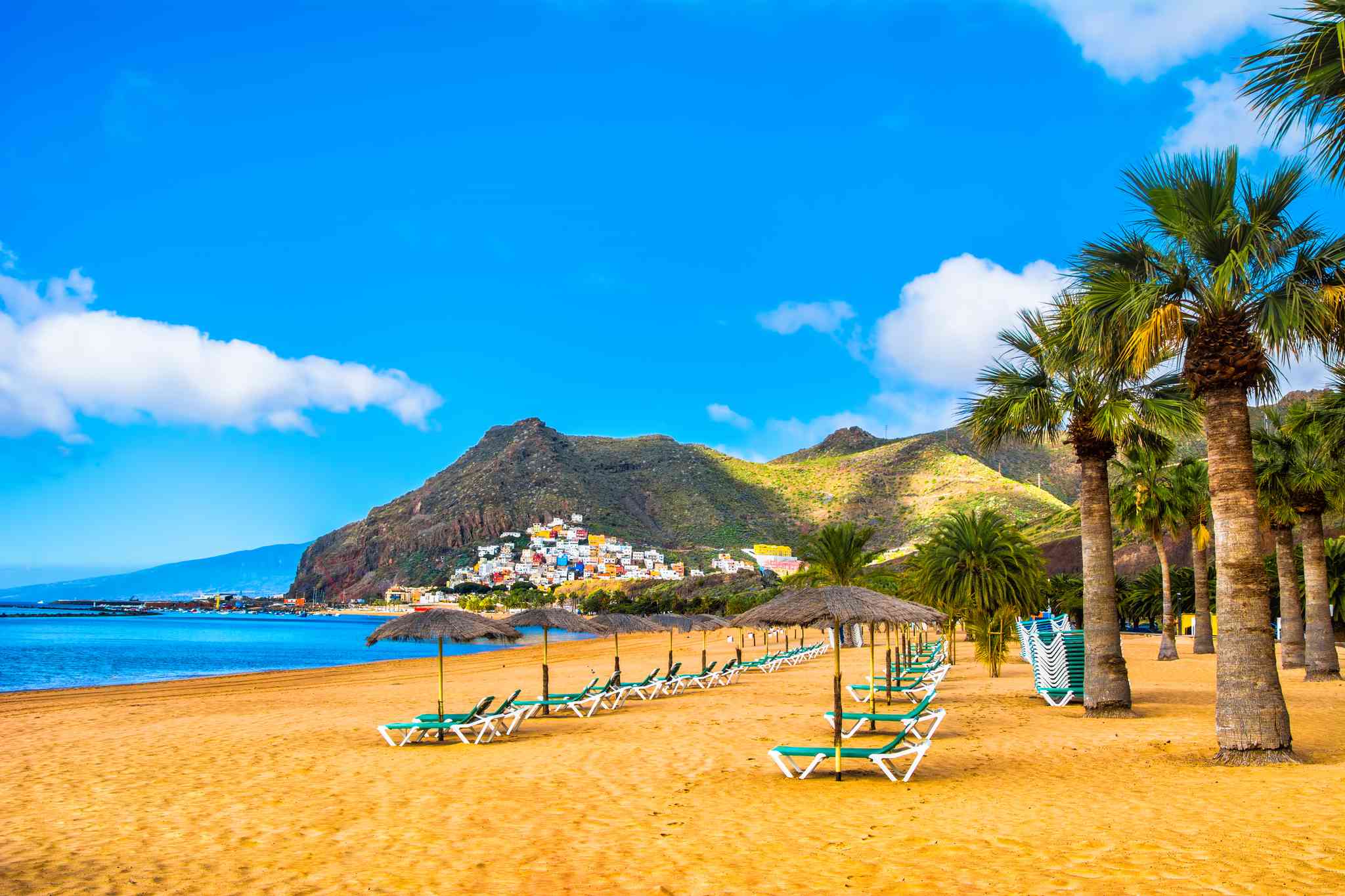 Playa de Las Teresitas 의 경치 - Tenerife South Airport 에서 출발하는 개인 day trip - 사진 2