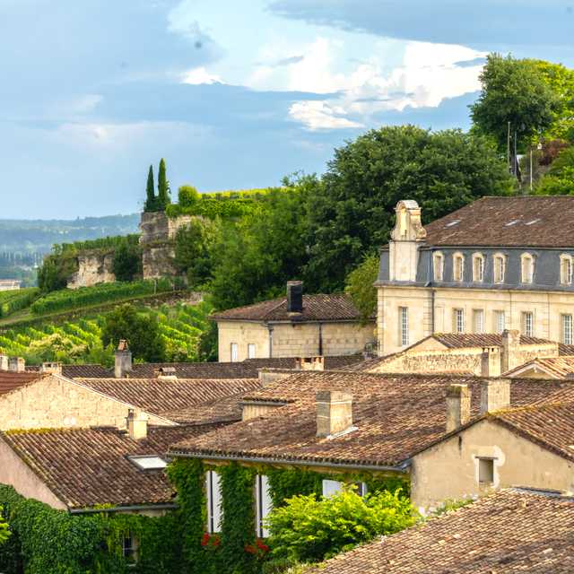 Bordeaux to Libourne and Fronsac: Private day trip