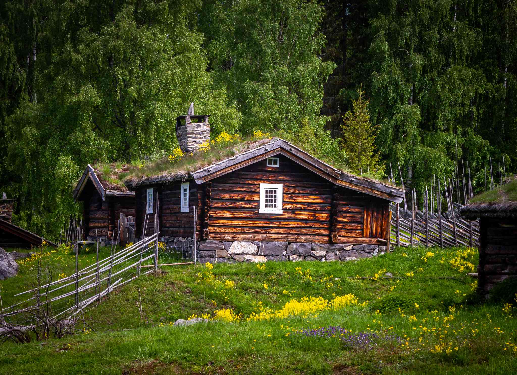 Scenic view of Oslo - private day trip from Lillehammer - photo 8