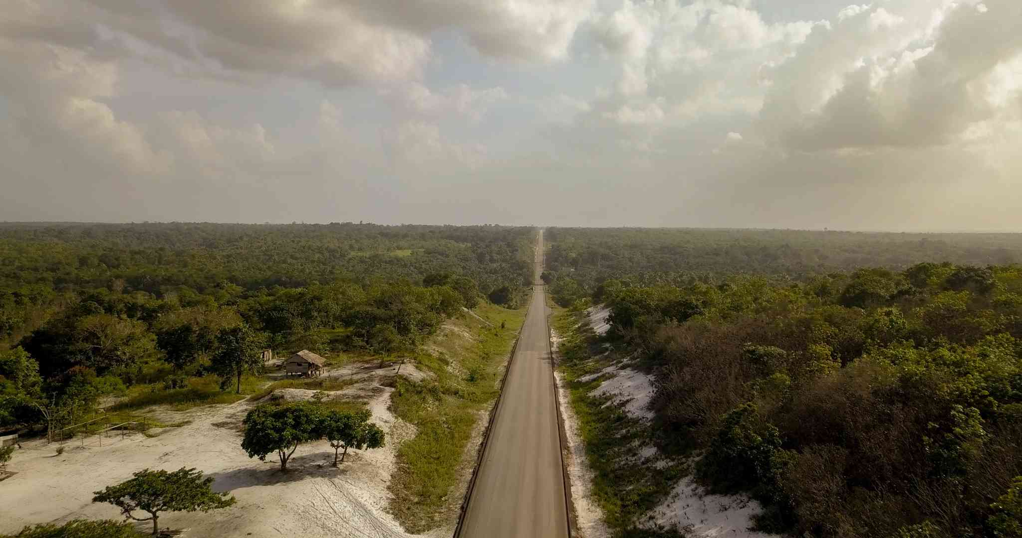 Scenic view of Linden - private day trip from Cheddi Jagan International Airport - photo 2
