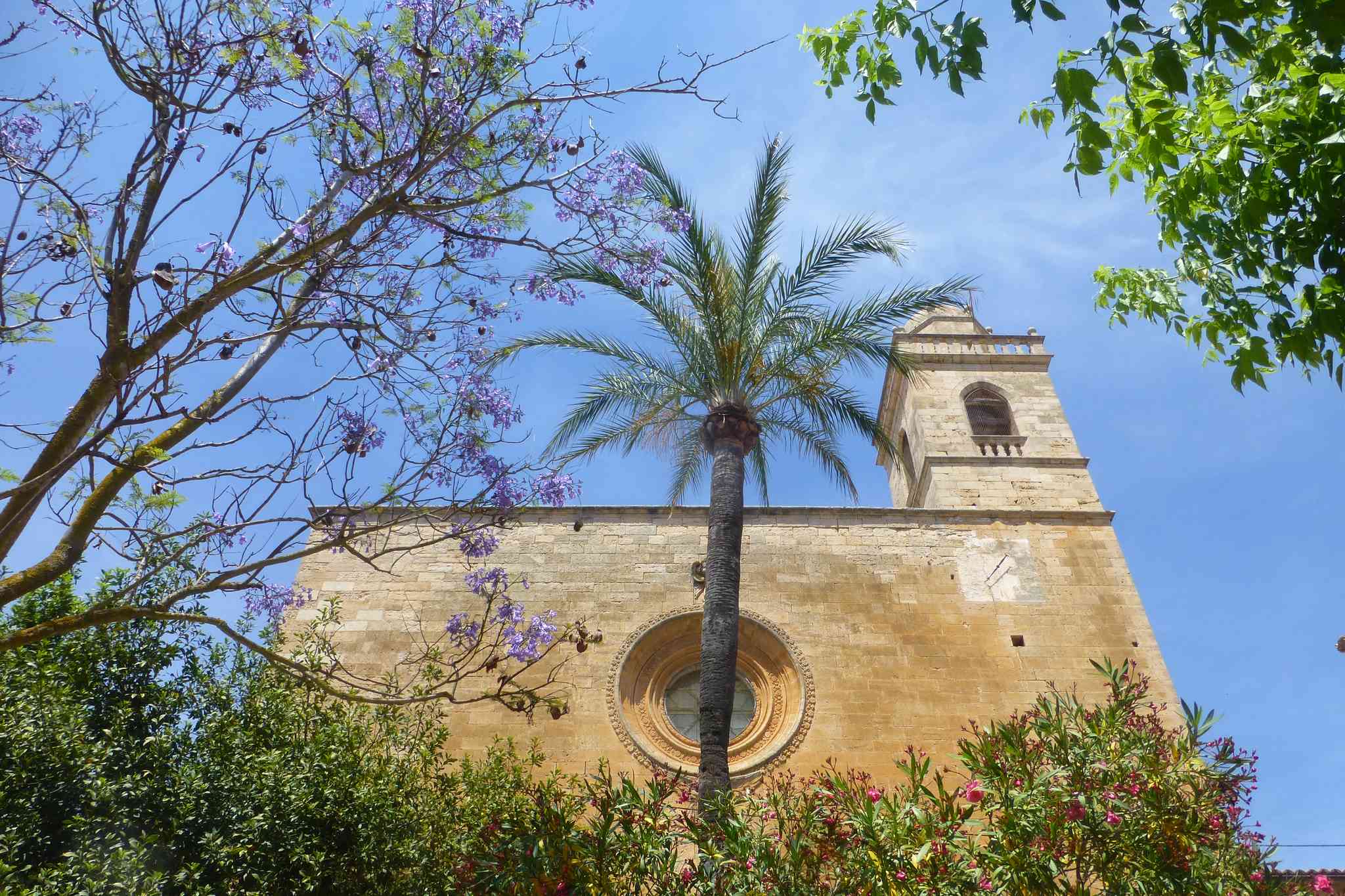 Vista cênica de Palma de Mallorca - excursão particular de um dia de Llucmajor - foto 7