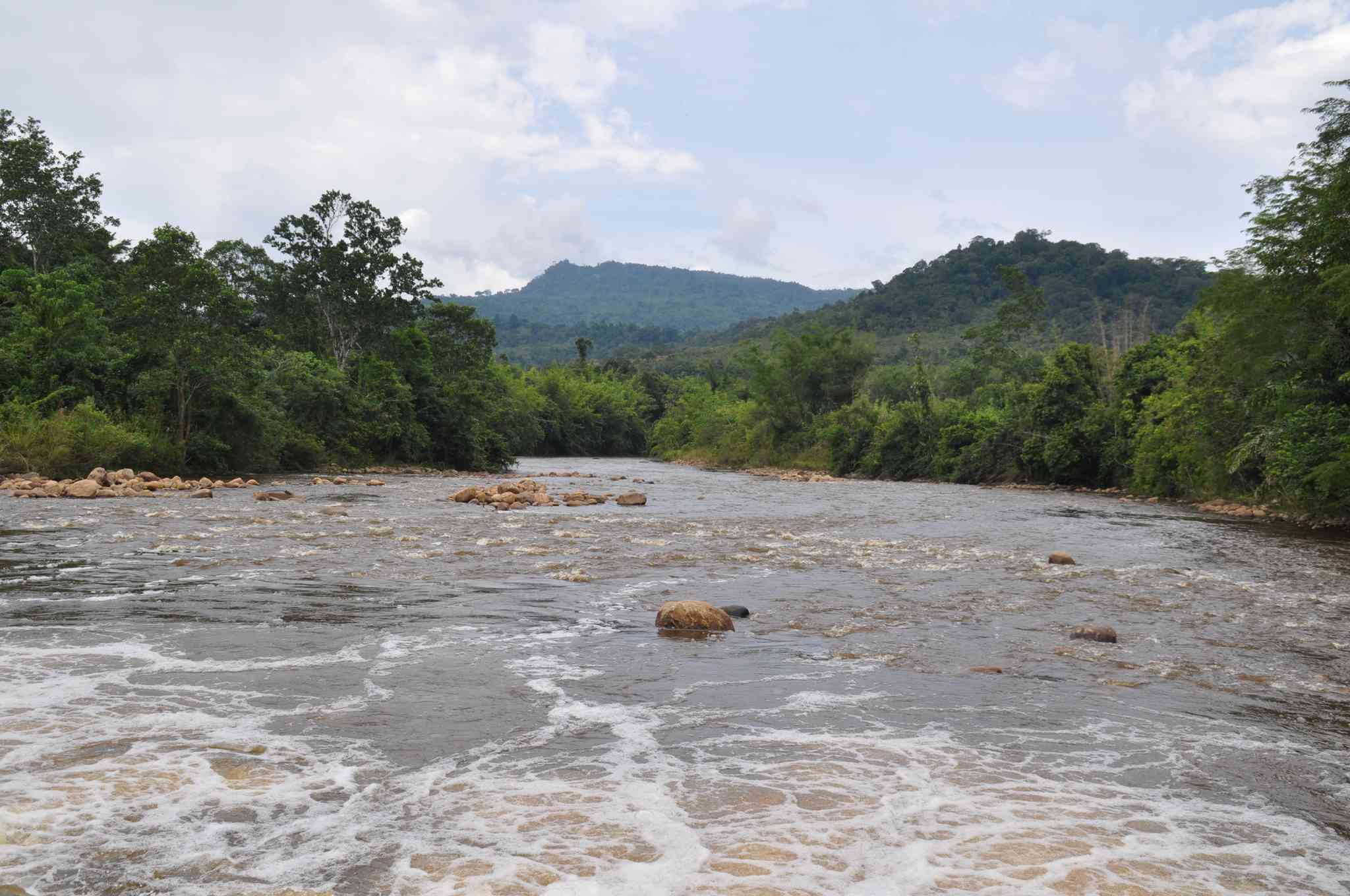 Scenic view of Long Pasia - private day trip from Bandar Seri Begawan - photo 2