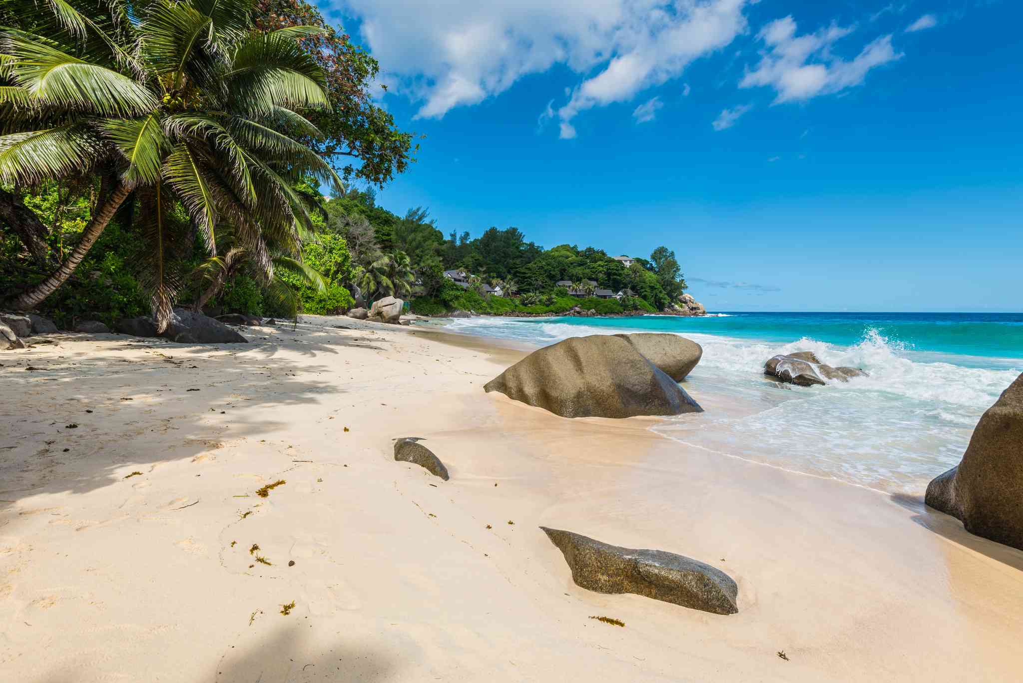 Vue pittoresque de Victoria - excursion privée d'une journée depuis Machabee, Seychelles - photo 6