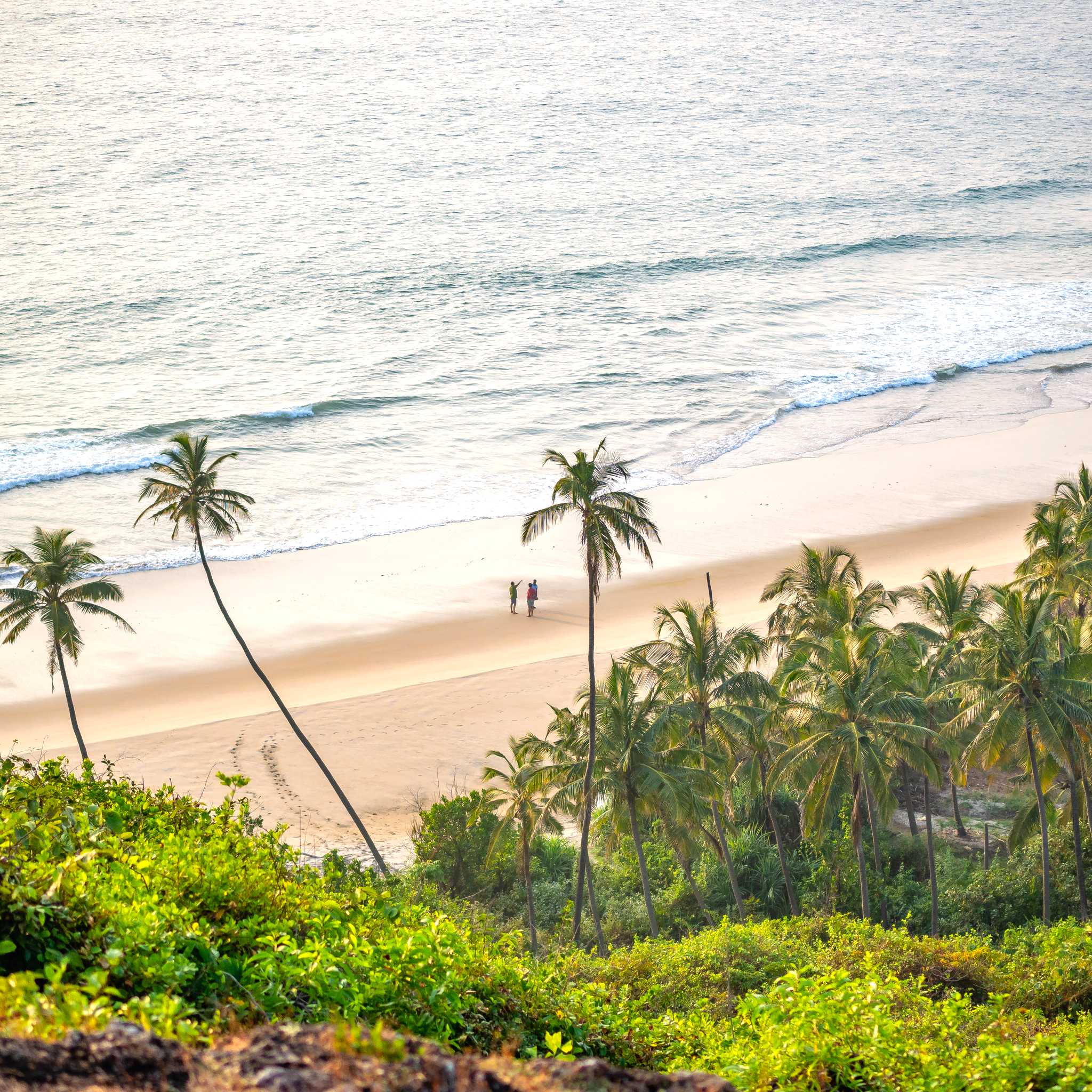 Malvan