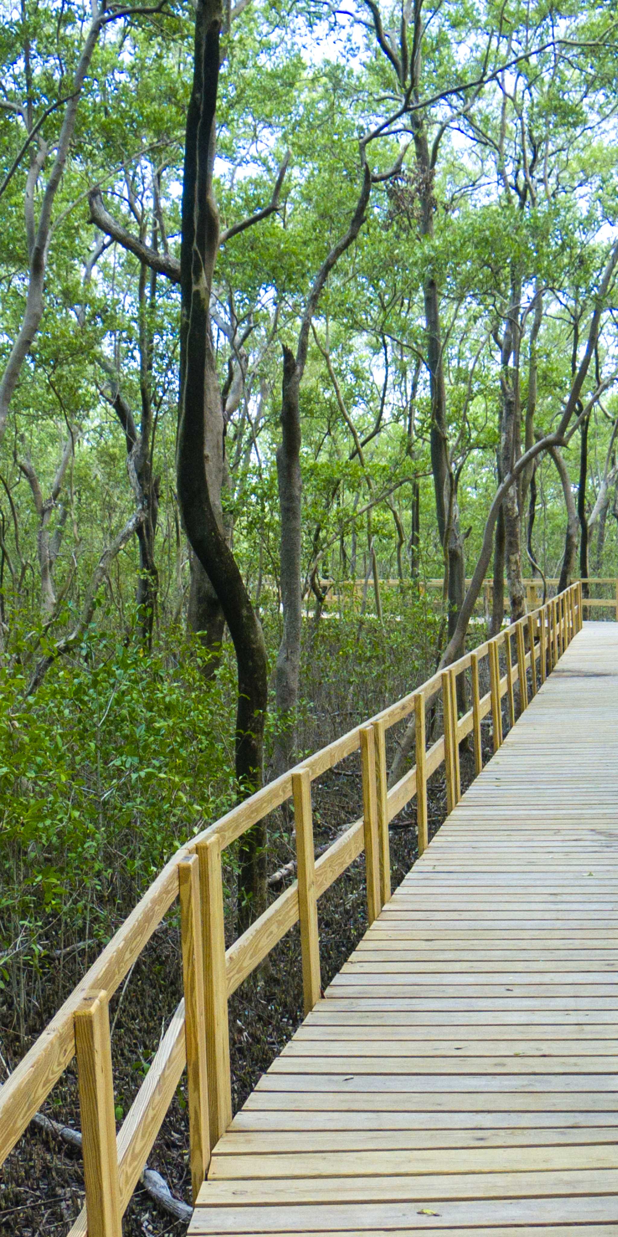 Manglares de Old Point Nationalpark