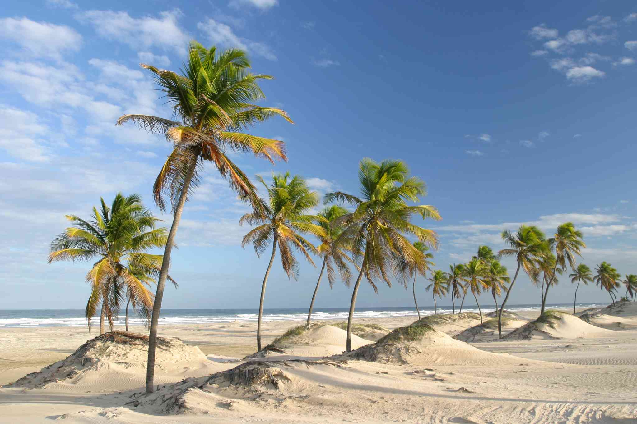 Vista panorámica de Salvador - excursión privada de un día desde Mangue Seco - foto 6