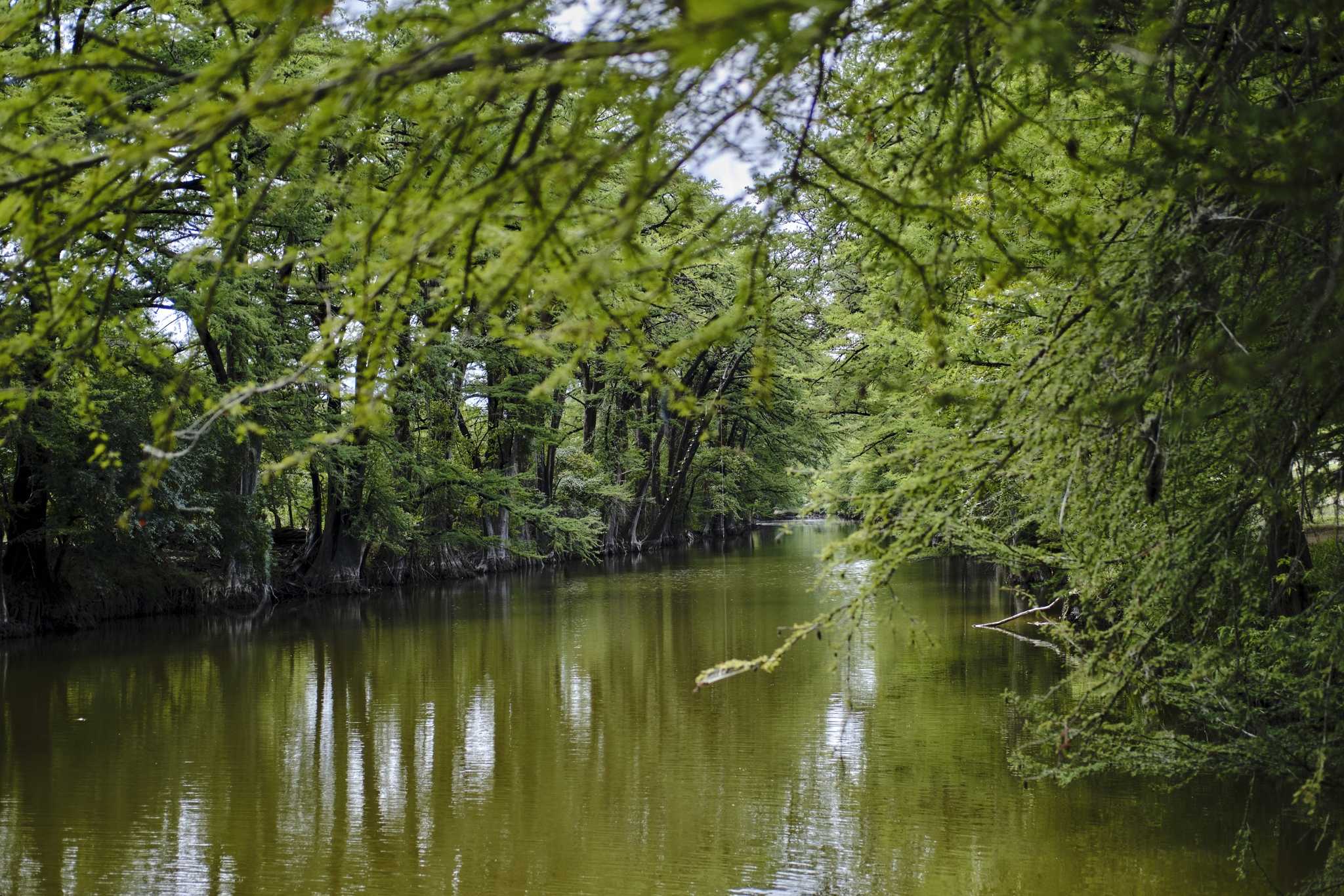在 从 san-antonio-texas-us 到 midland-us 的途中，参观 Medina River Natural Area ，通过 Daytrip