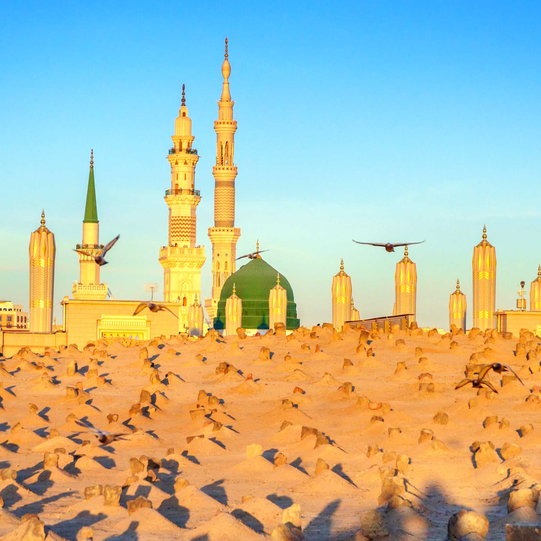 Private car transfers in Saudi Arabia from Prince Mohammed Bin Abdulaziz International Airport