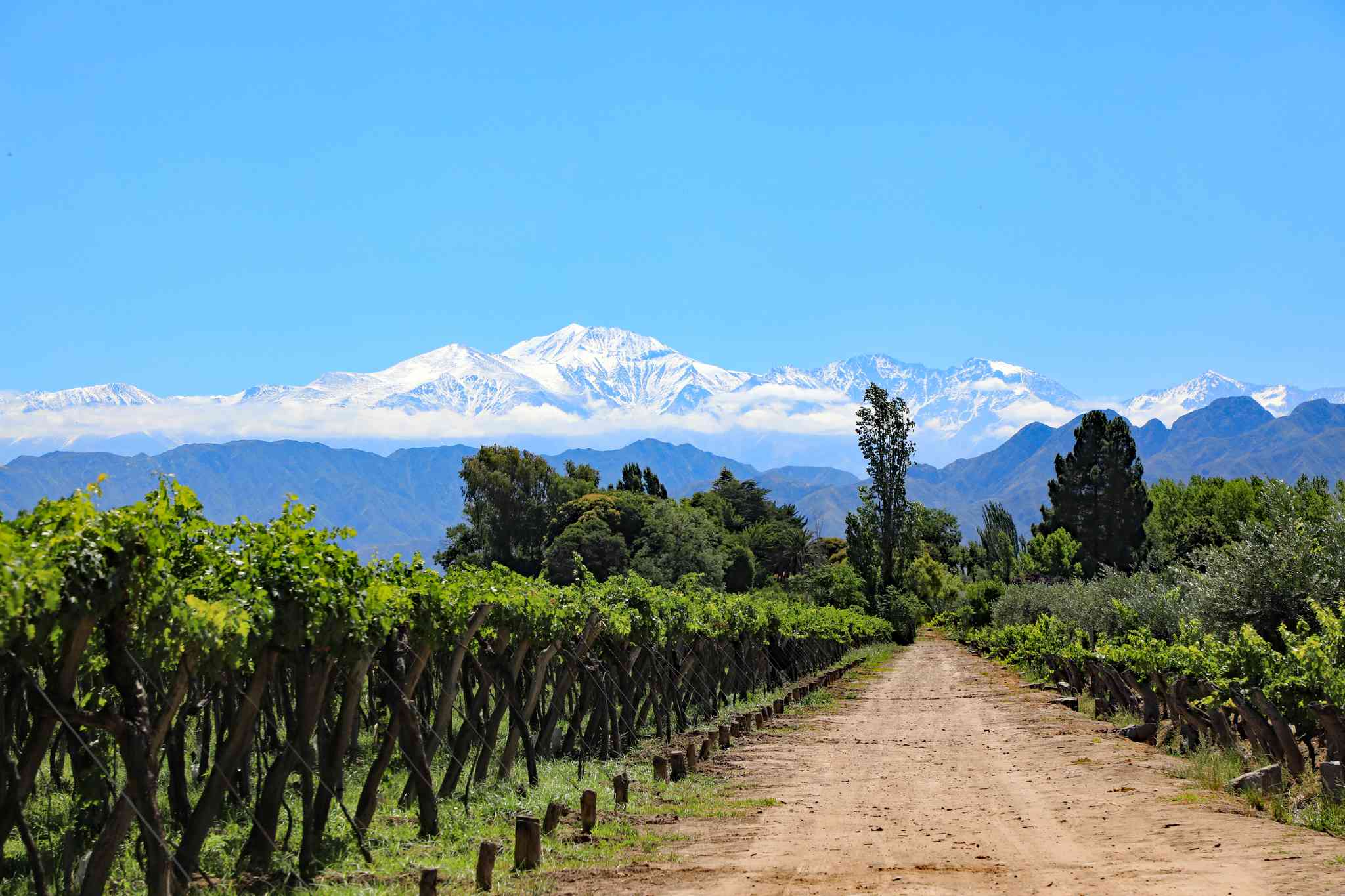 Mendoza 의 경치 - Buenos Aires 에서 출발하는 개인 day trip - 사진 1