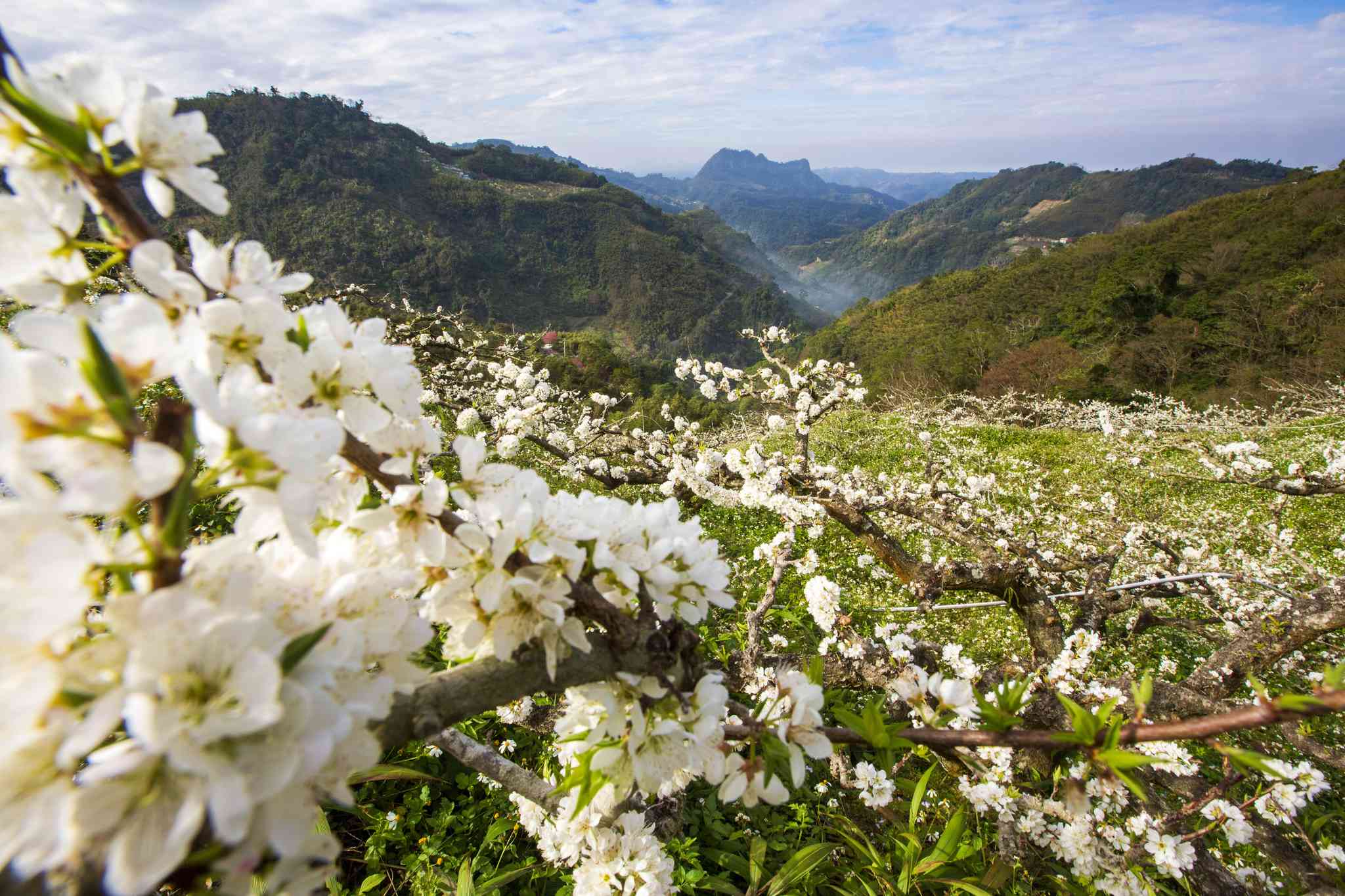 Vista panorámica de Miaoli - excursión privada de un día desde Tainan - foto 2