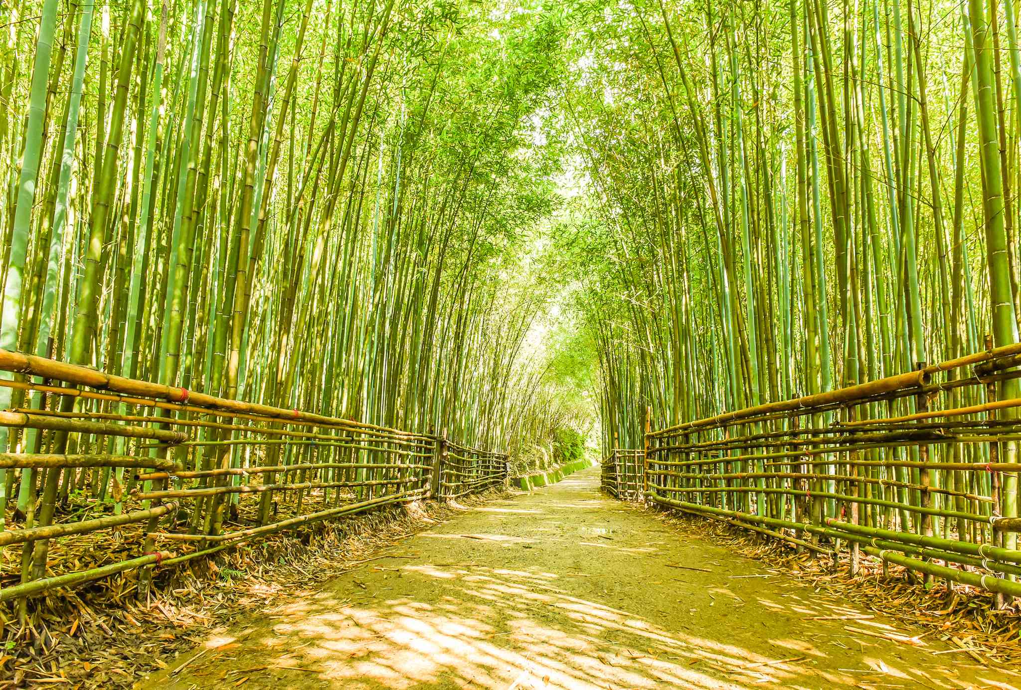 Vista panorámica de Miaoli - excursión privada de un día desde Tainan - foto 3