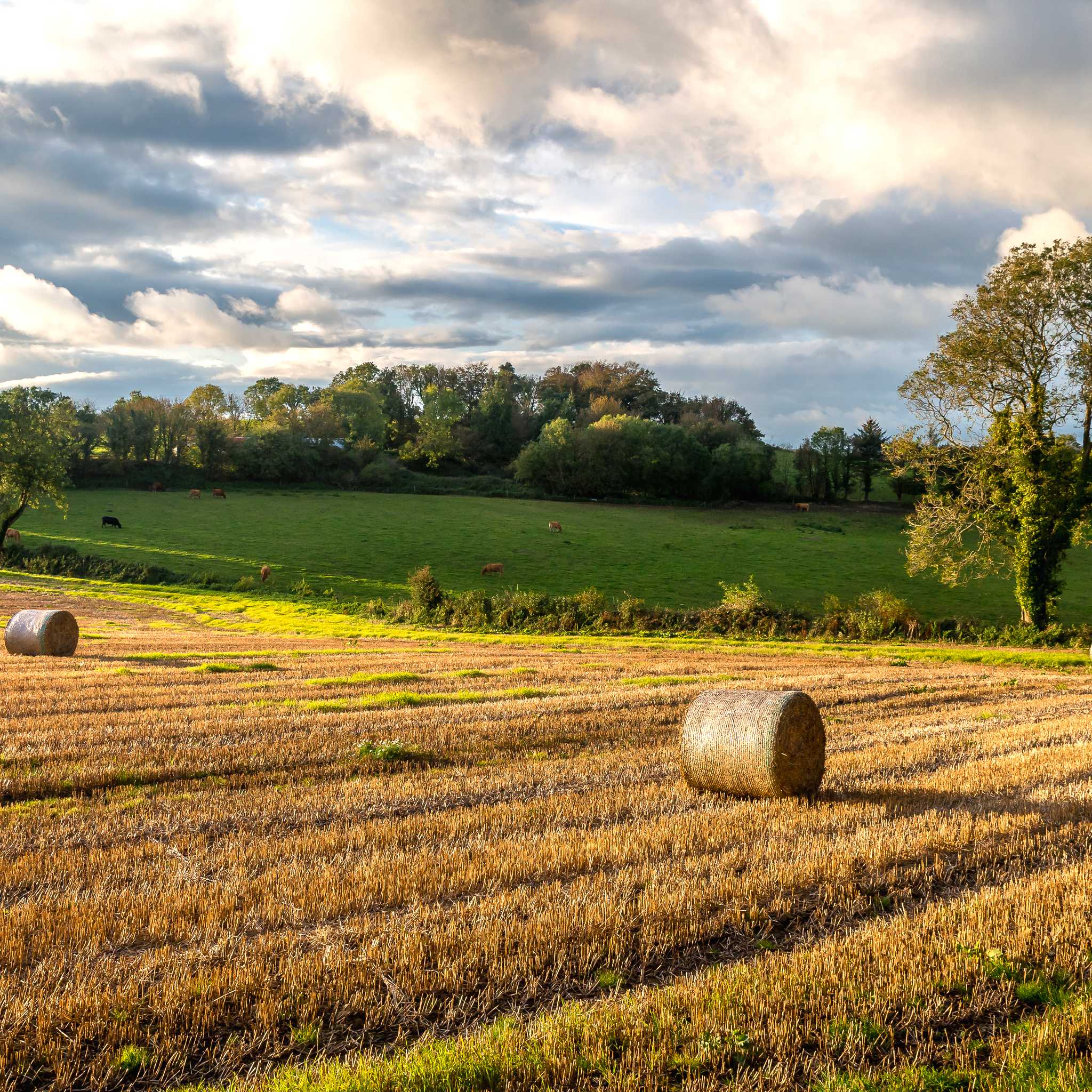 Midleton, County Cork