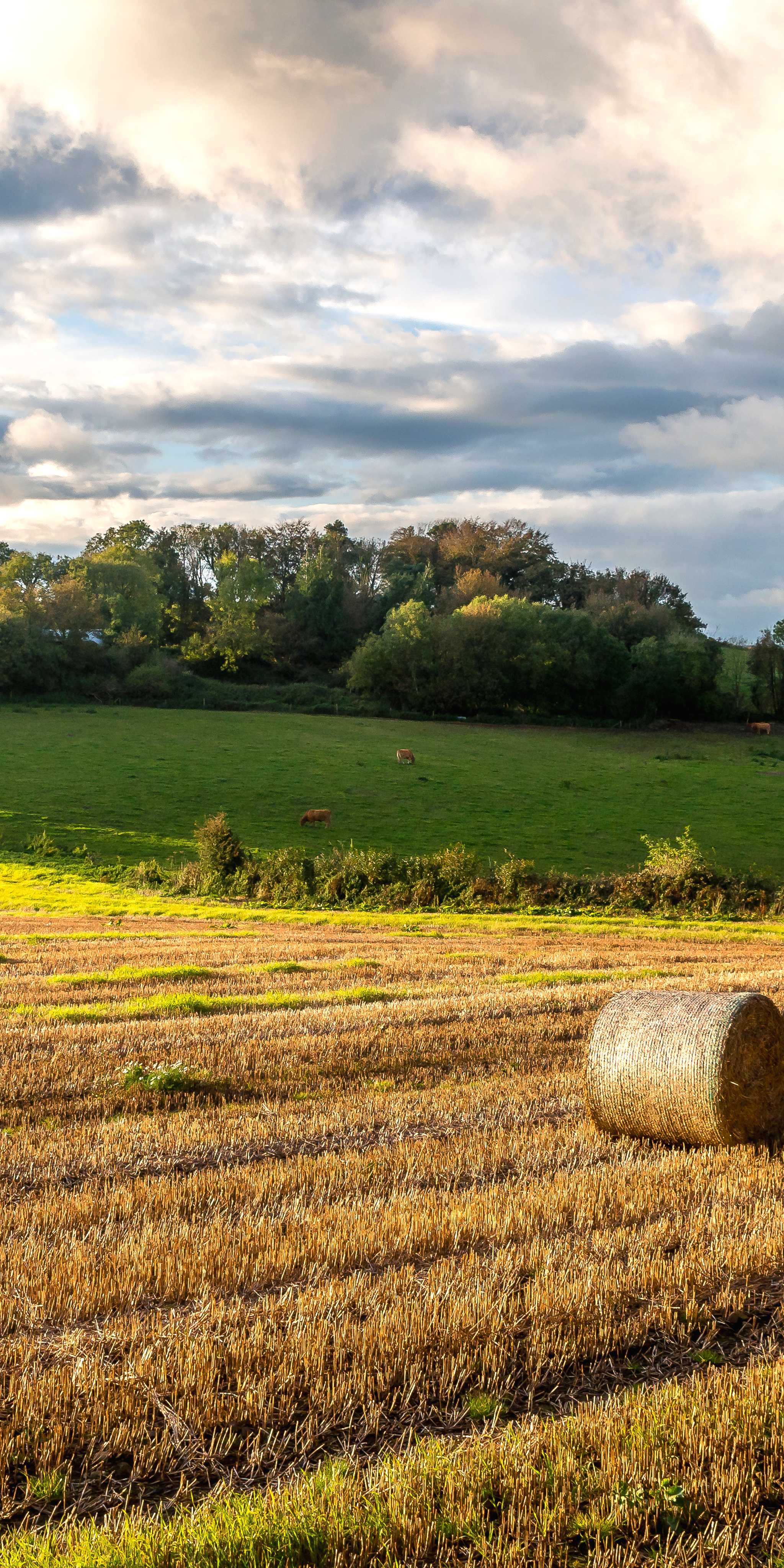 Midleton, County Cork