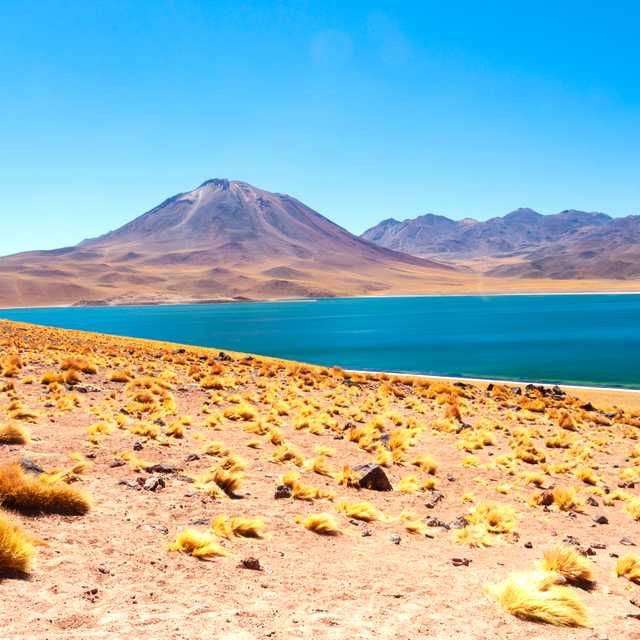 San Pedro de Atacama to Miscanti Lake and Ayquina: Day trip