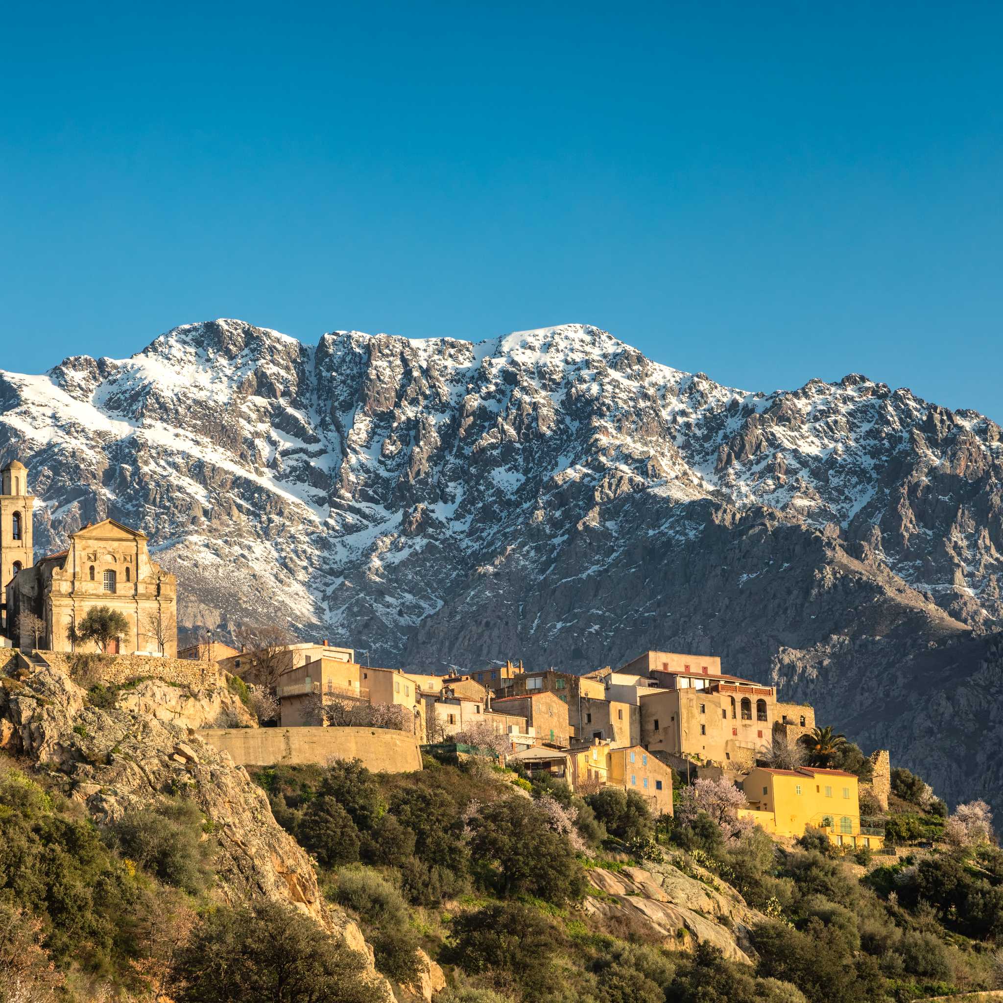 ๋ชฌํ
๋ง์กฐ๋ 