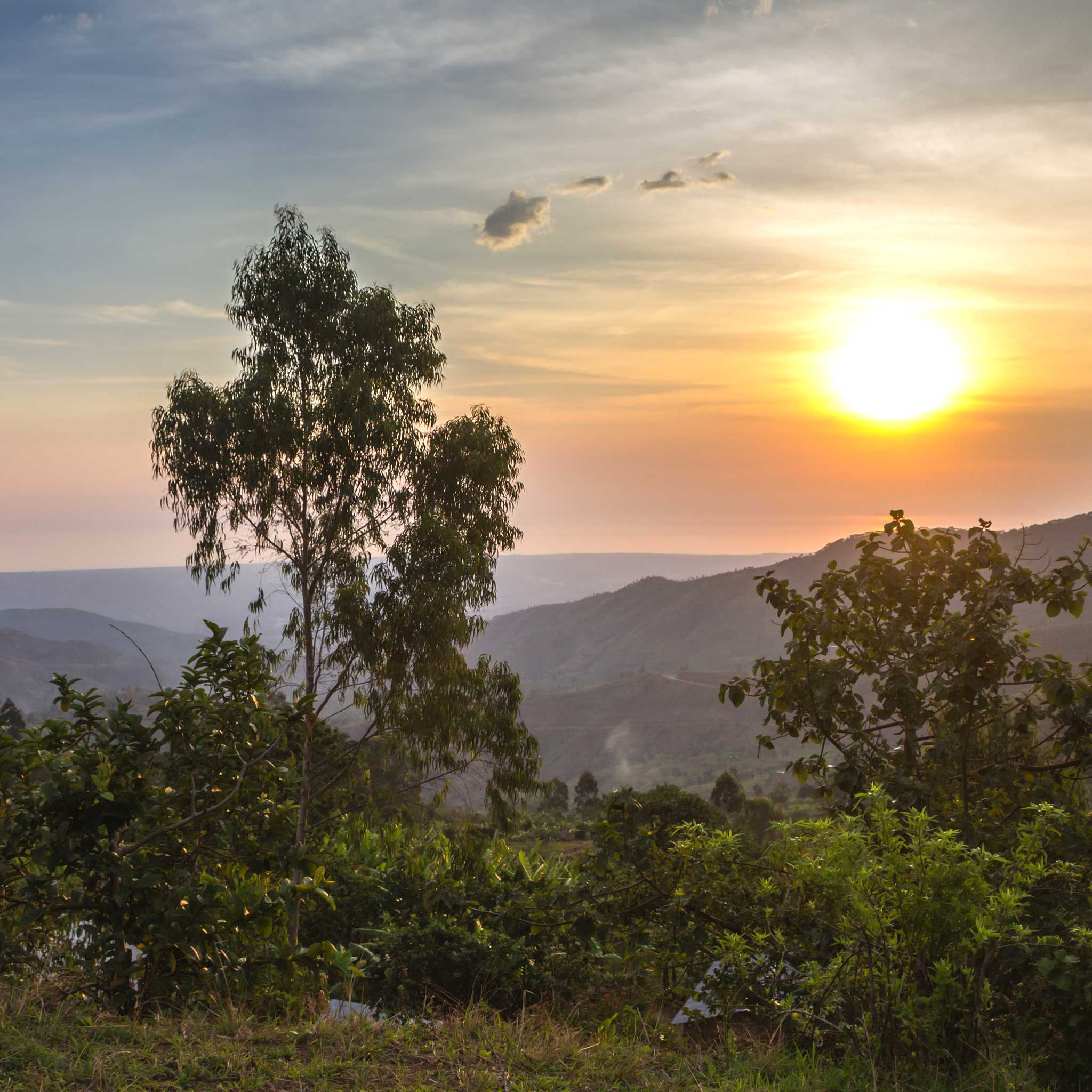Muyinga
