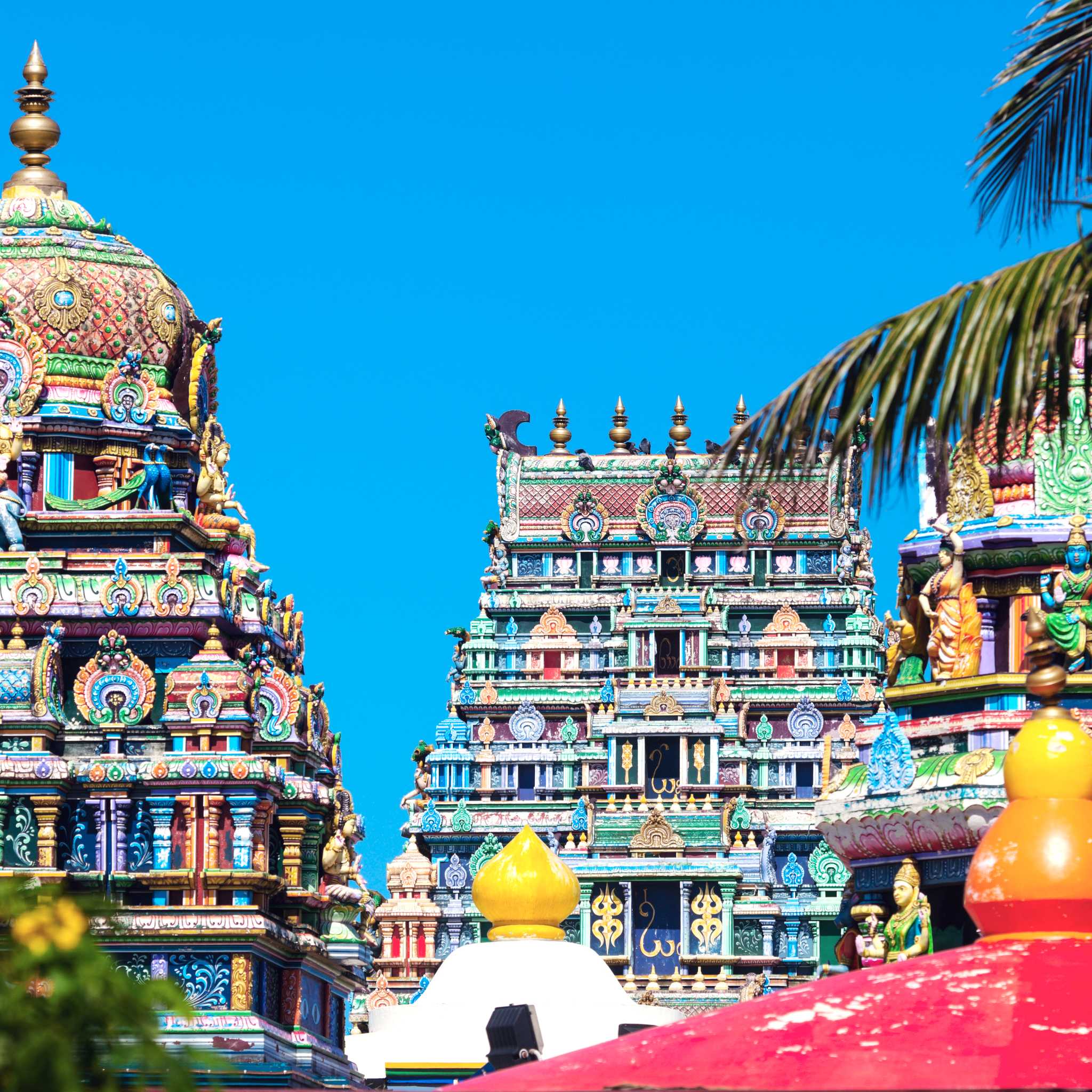 Private car transfers in Fiji from Nadi