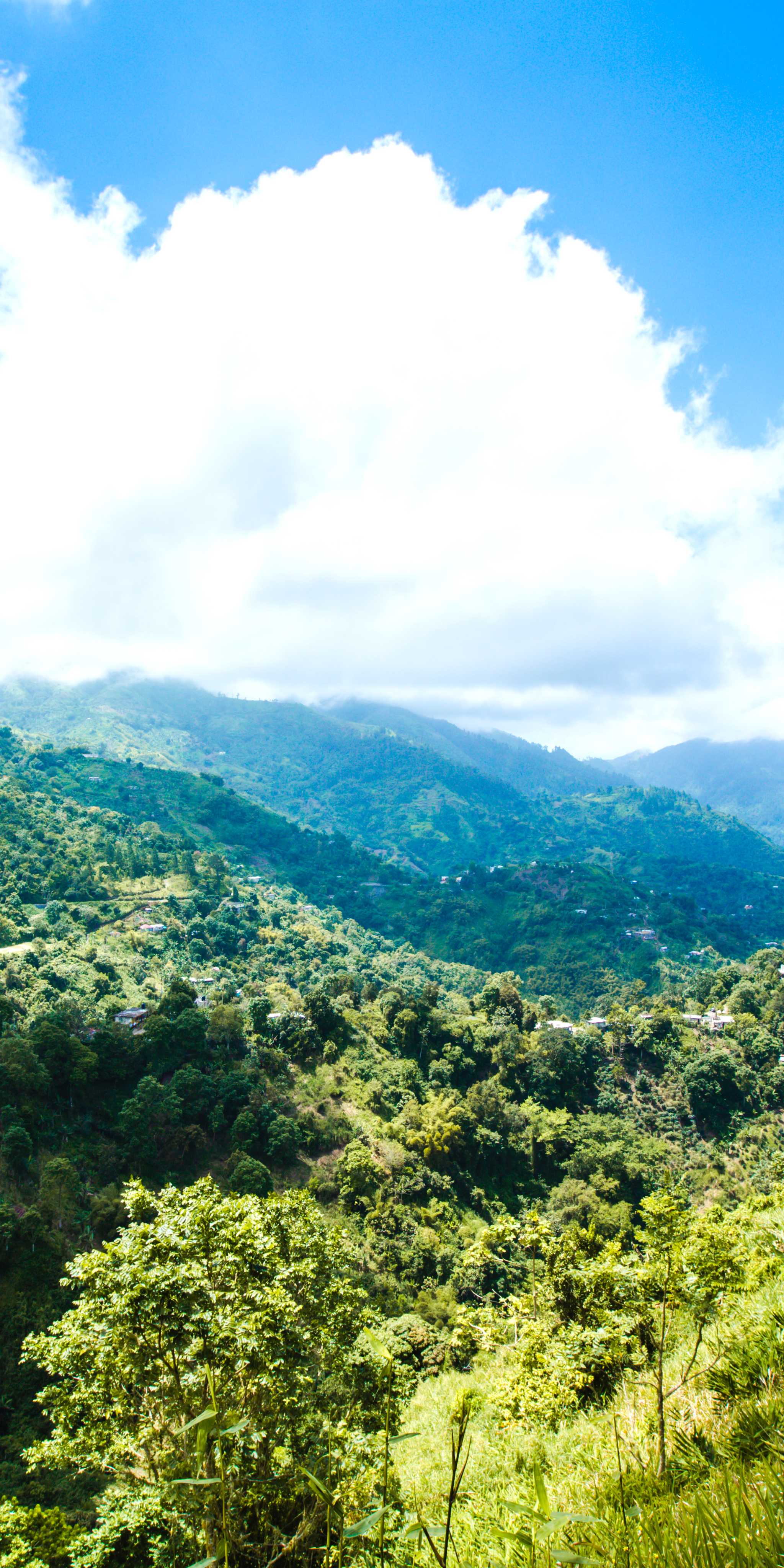 Blue and John Crow Mountains National Park