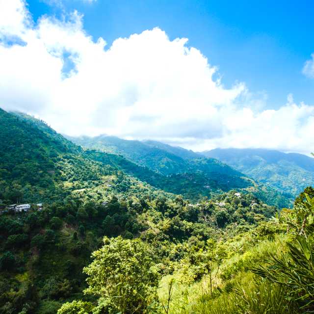 Kingston to Blue Mountains and Holywell Park: Day trip