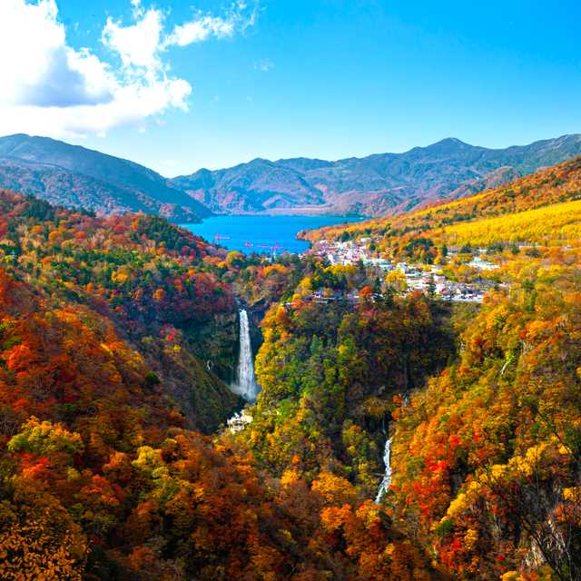 Tokyo to Nikko National Park: Private day trip