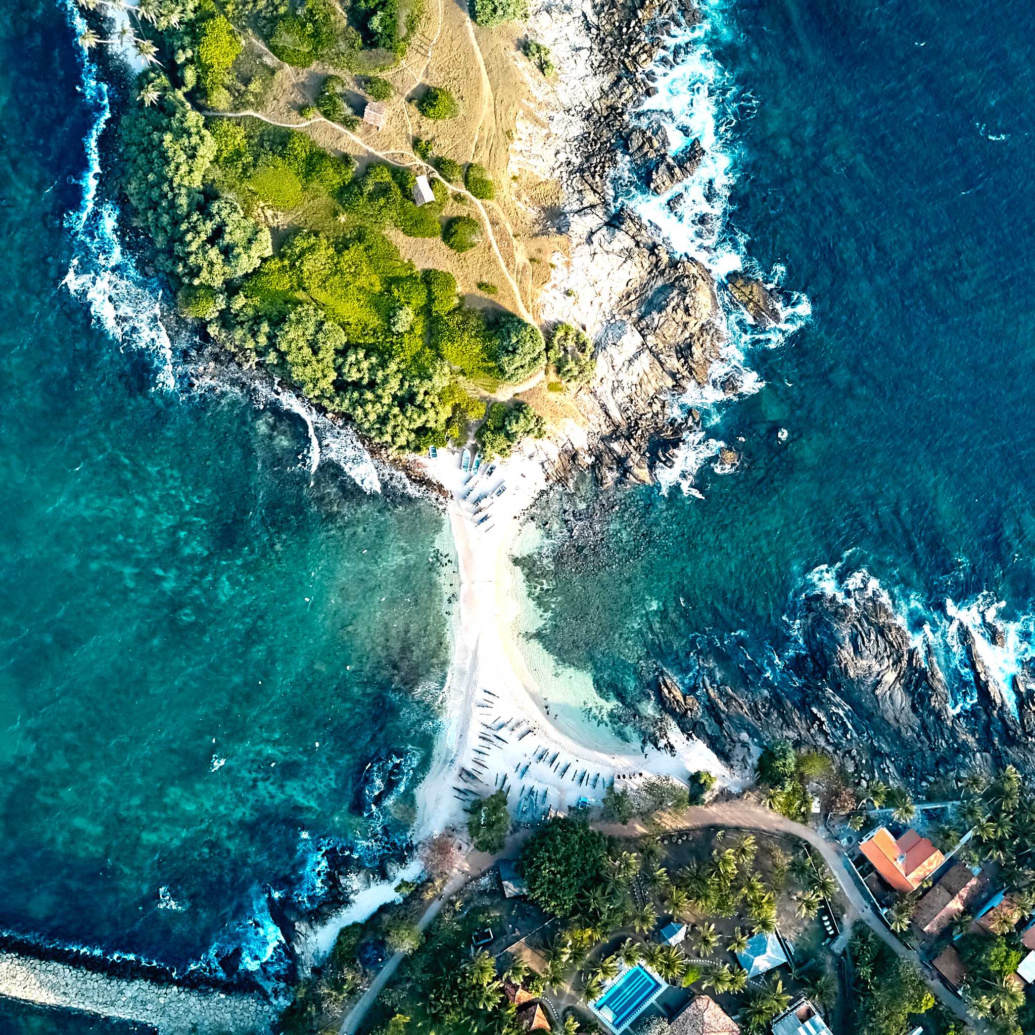 Nilwella