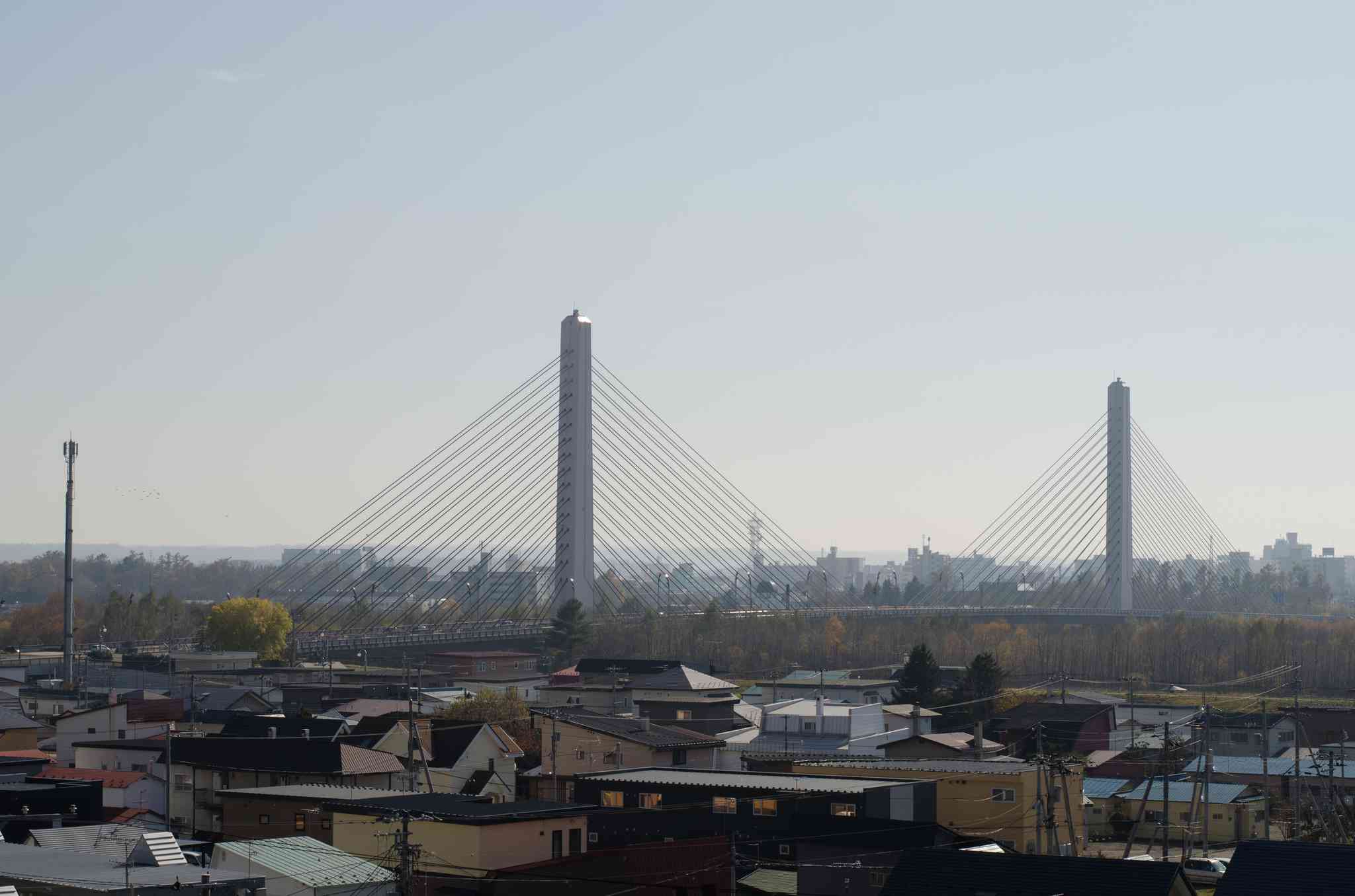 Vista cênica de Obihiro - excursão particular de um dia de Sapporo - foto 3