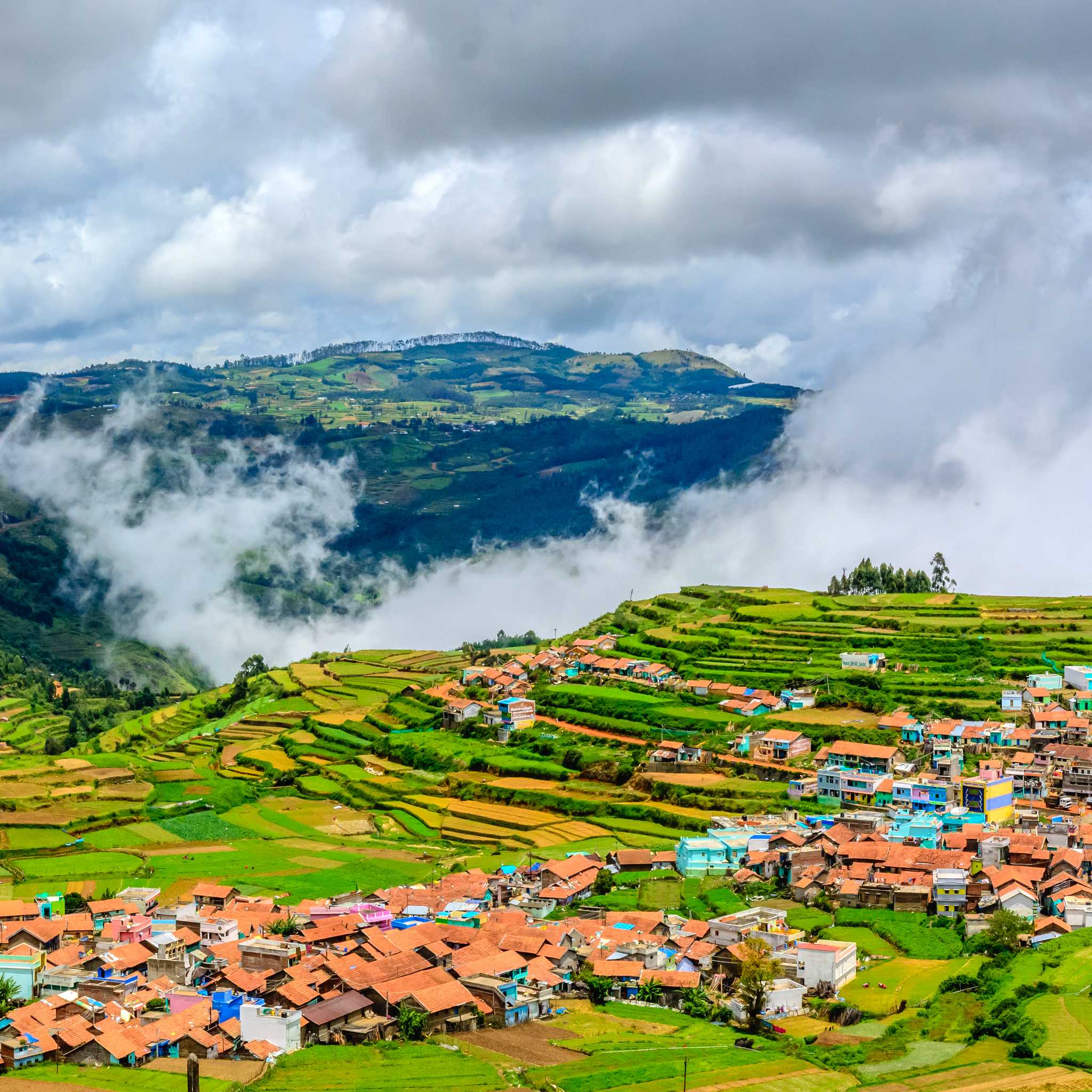 Ooty